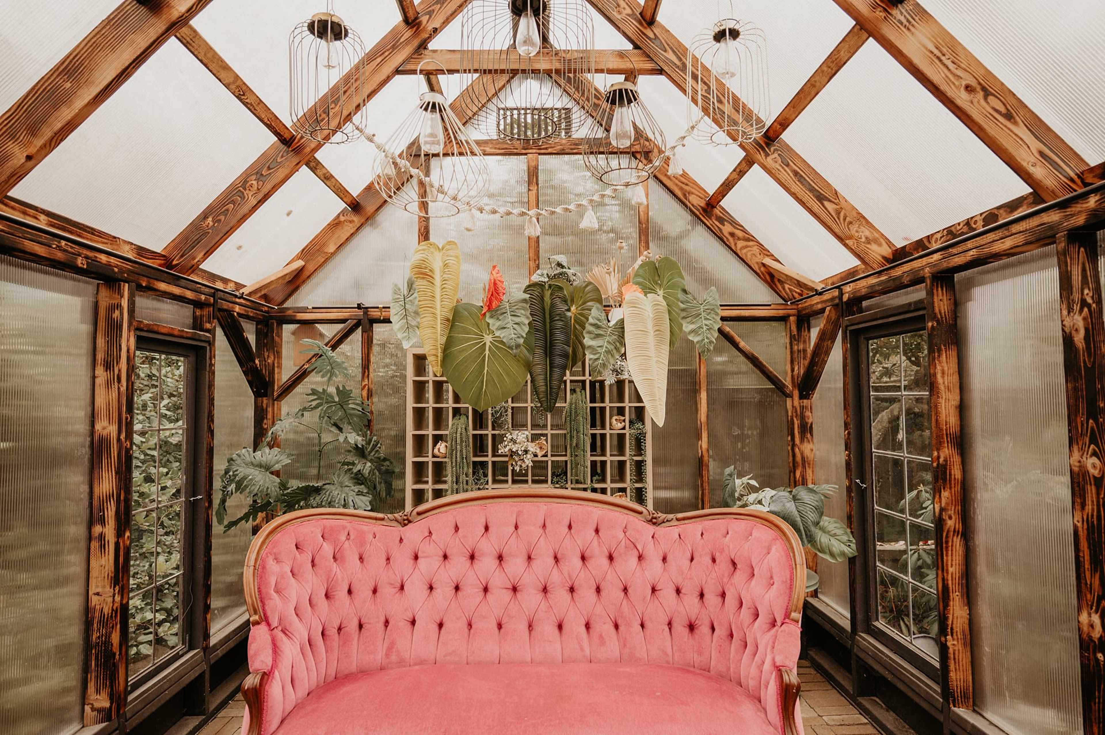 The image shows a bright, enclosed space with a pink tufted couch and large green leaves hanging from the ceiling.