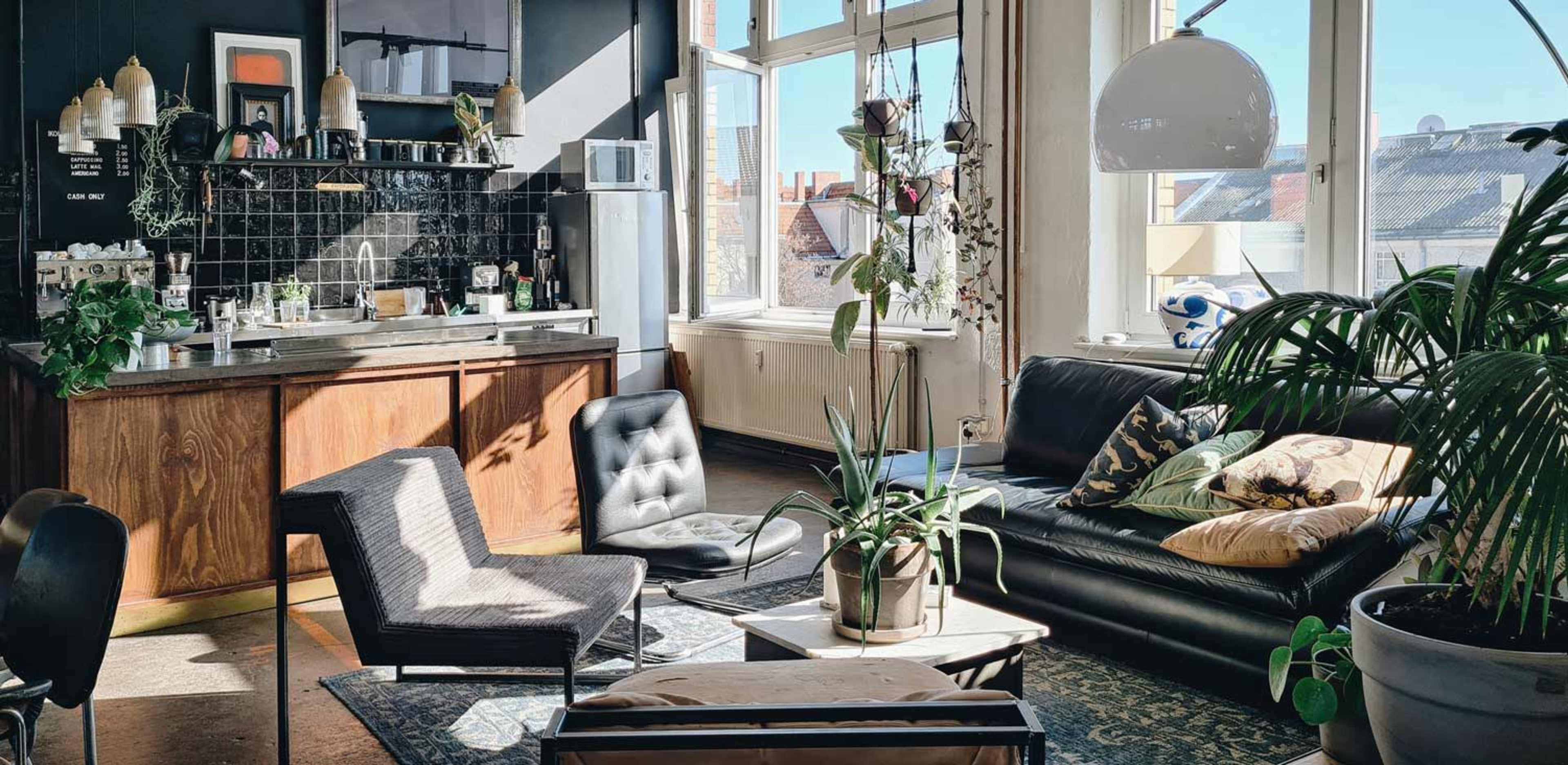 The image shows a modern living room with a kitchen area, featuring a black leather couch, various plants, and large windows allowing natural light to enter.