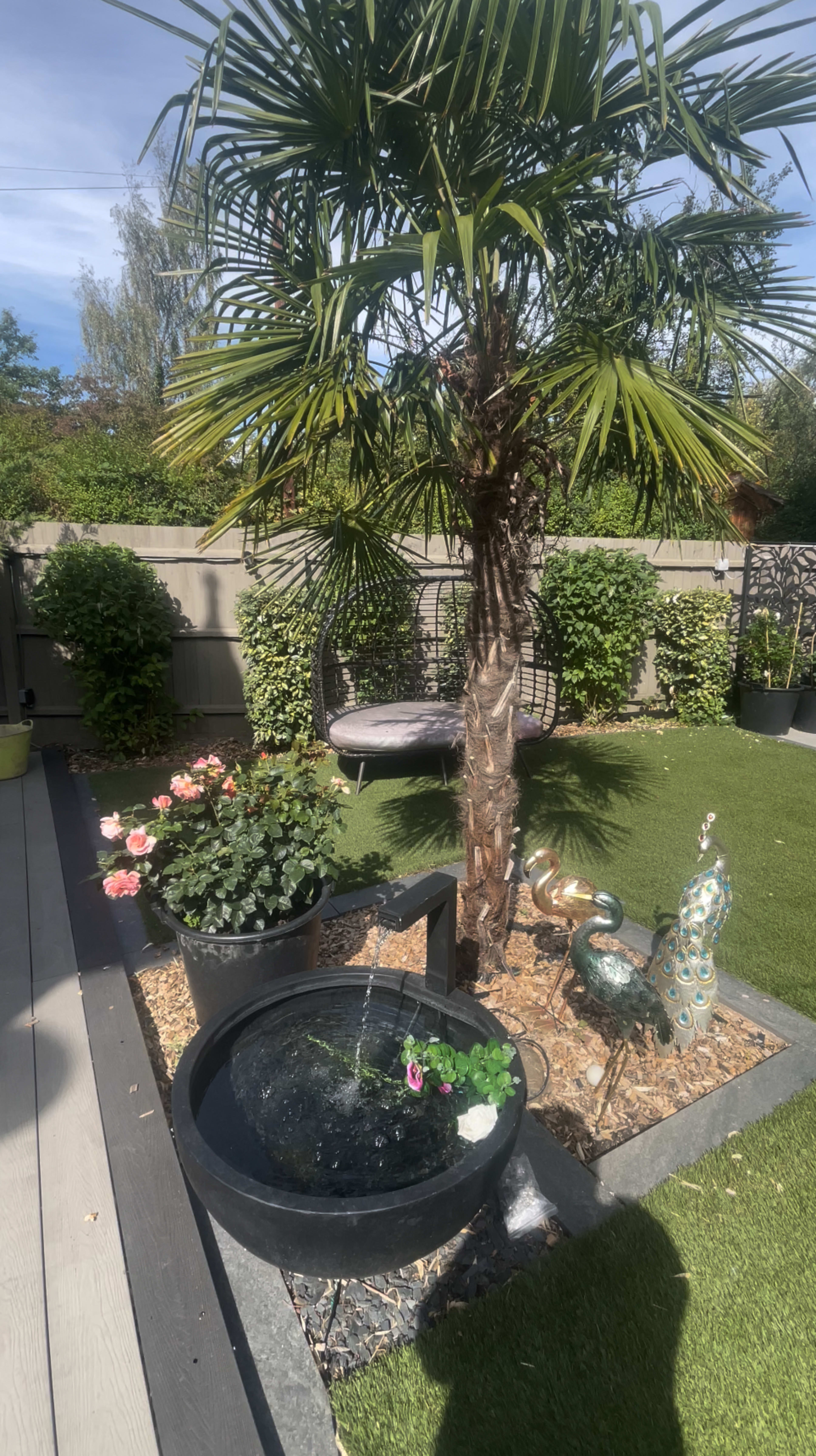 A palm tree stands near a water feature surrounded by flowering plants in a landscaped garden.