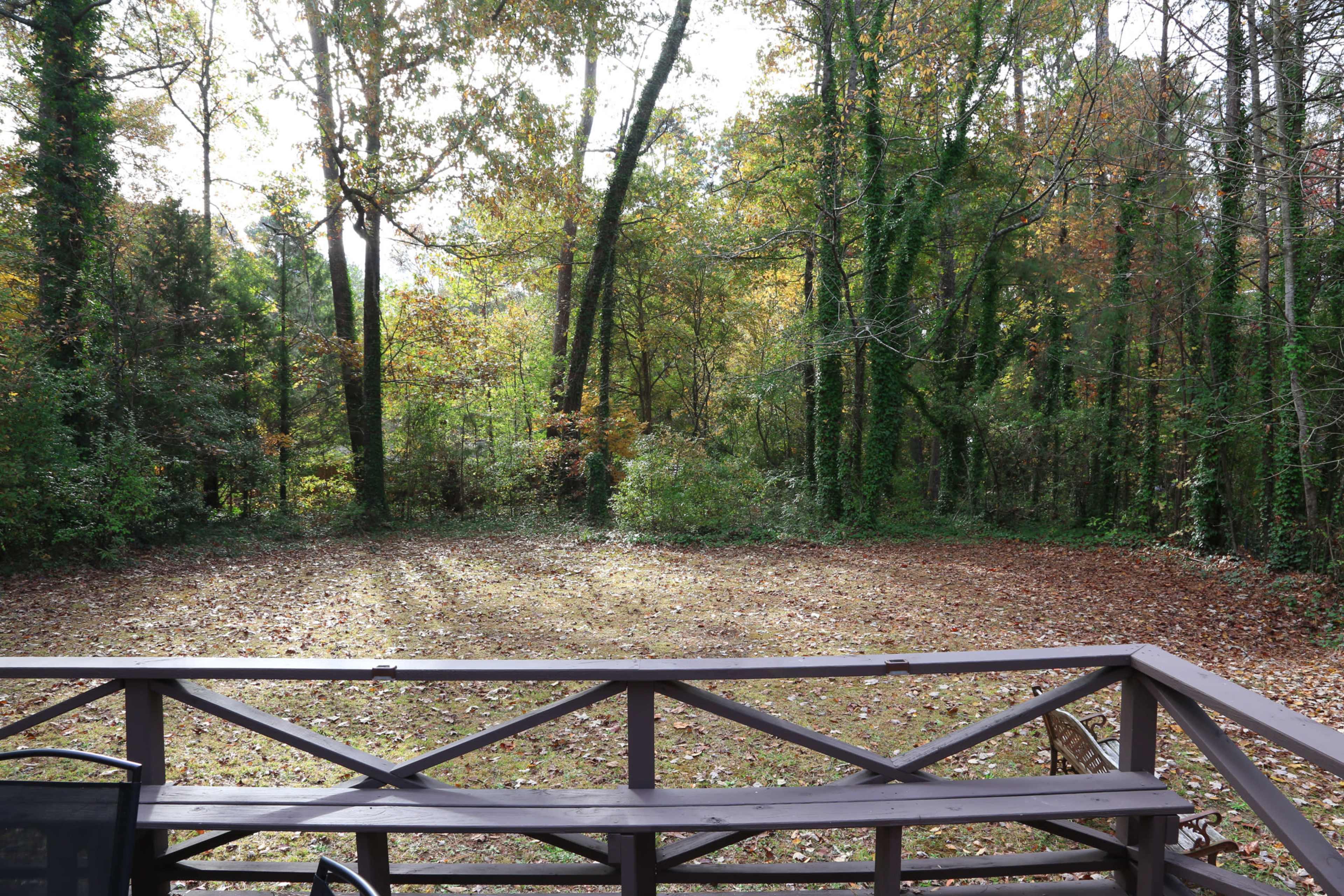 A cleared area surrounded by trees, with a deck railing in the foreground and fallen leaves covering the ground.