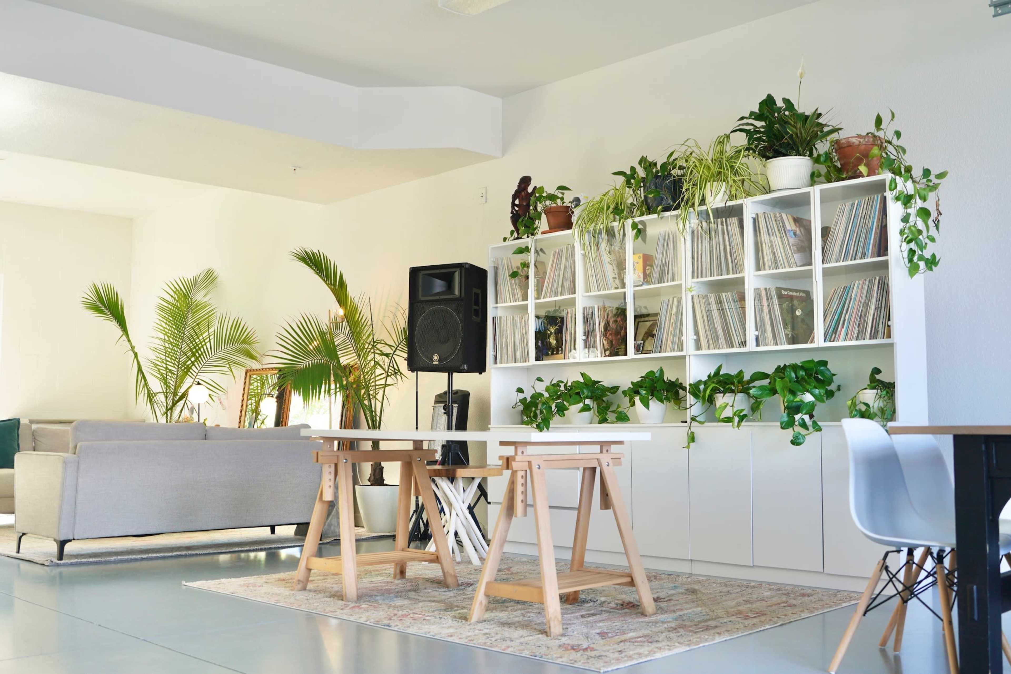The image shows a modern interior with a seating area, a white bookshelf filled with plants and records, and a dining table with wooden chairs on a patterned rug.