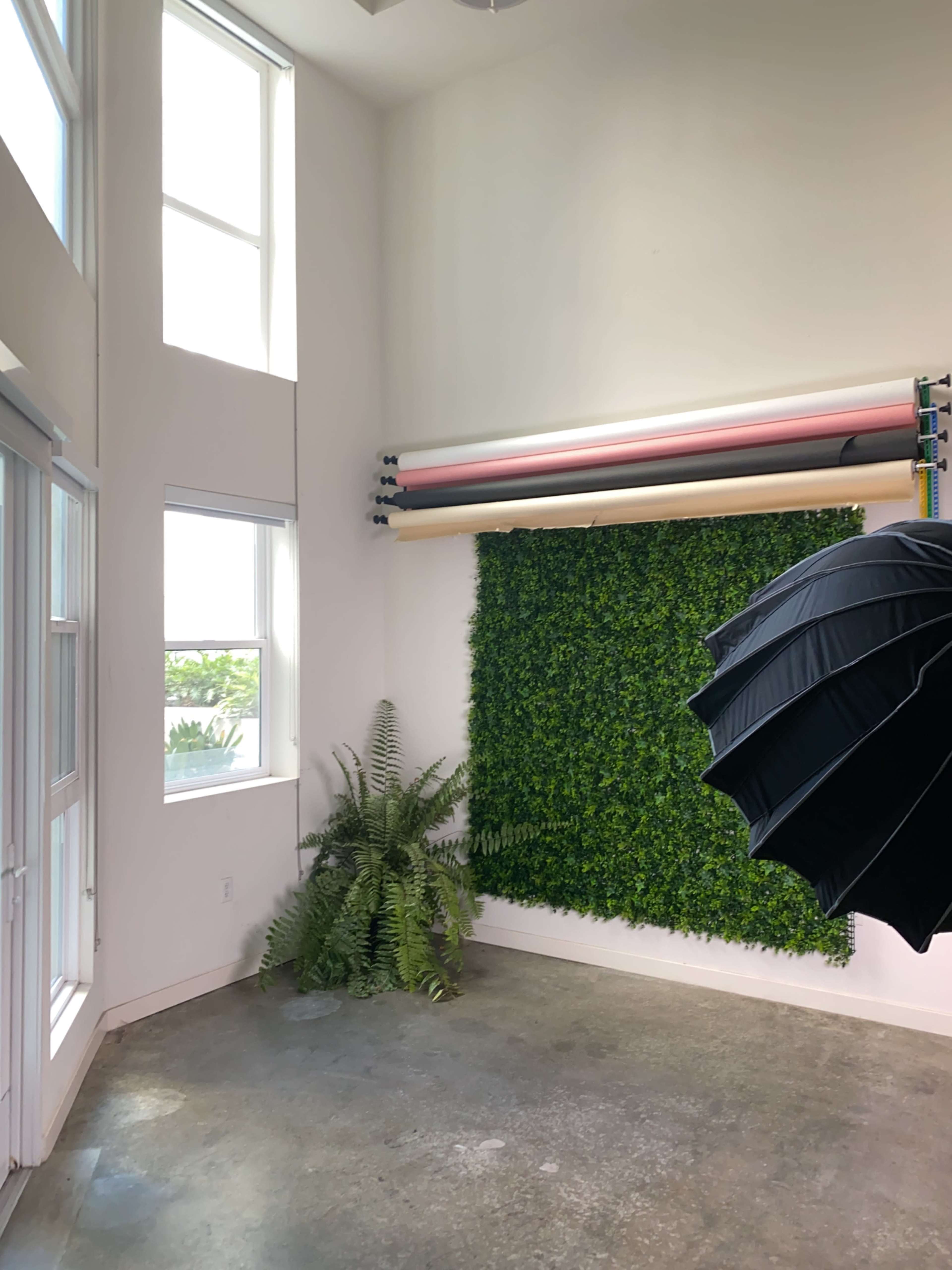 A bright studio space with a vertical wall covered in greenery, adjacent to large windows and equipped with a roll of backdrop paper.