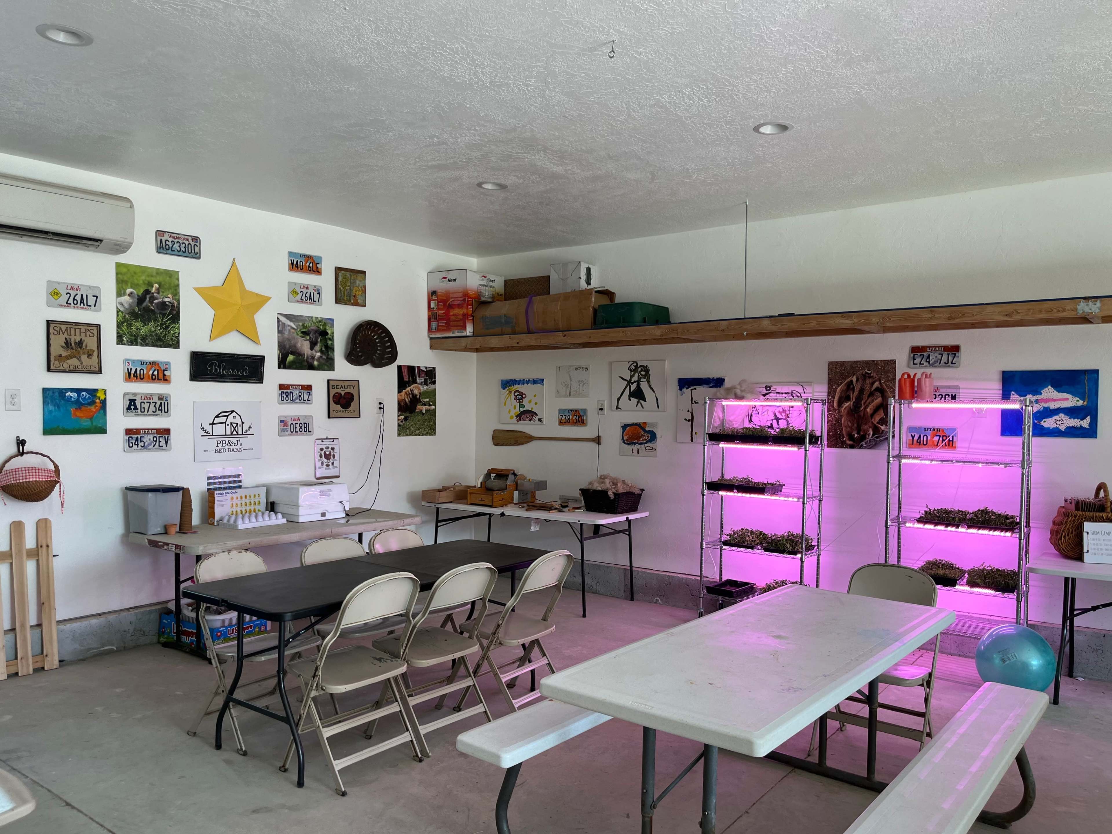 A room with several tables and chairs, decorated walls featuring various posters and signs, and a shelving unit with plants under purple grow lights.