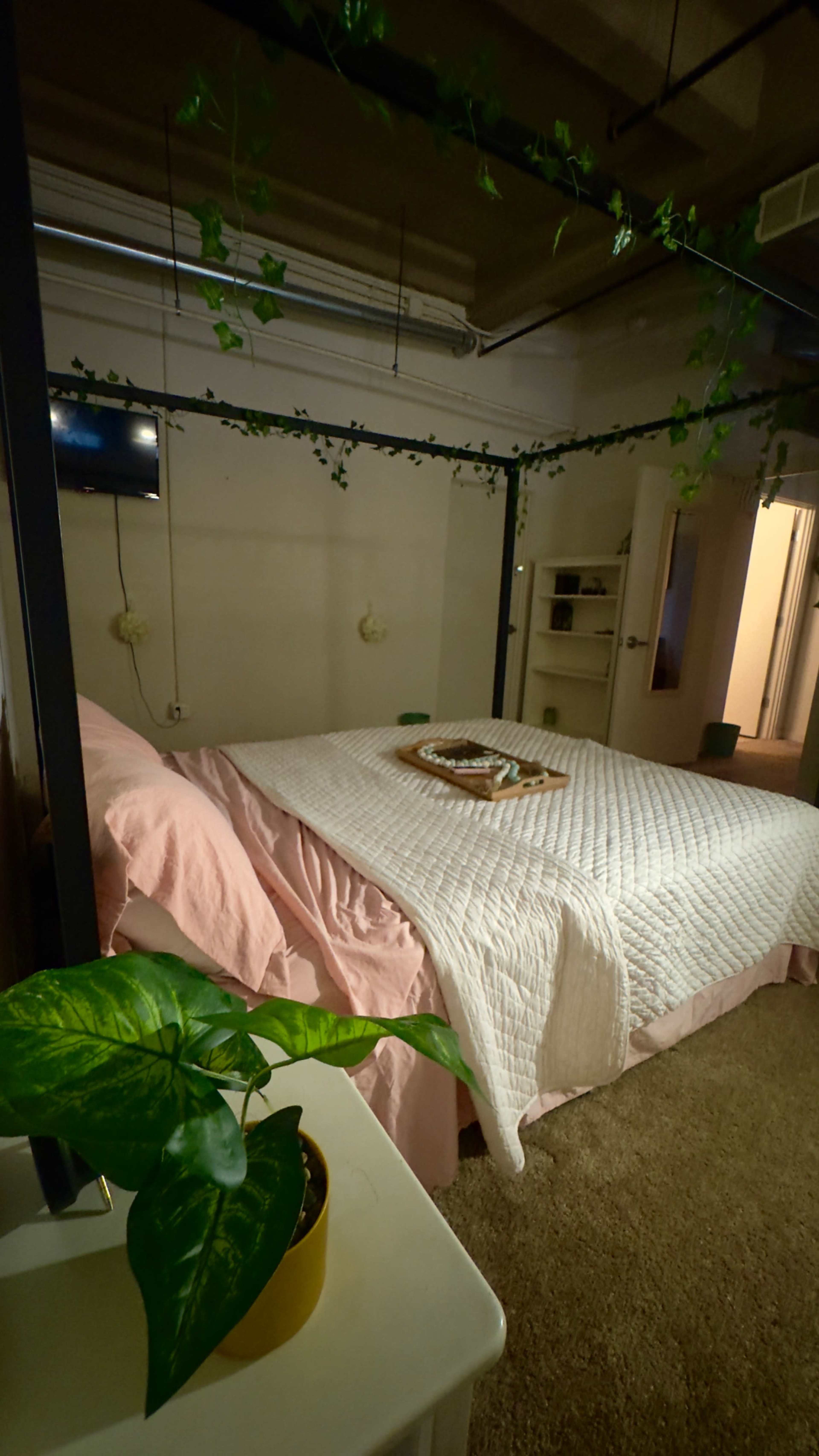 The image shows a neatly arranged bedroom with a large bed covered in a light quilt, a small television mounted on the wall, and a potted plant in the foreground.