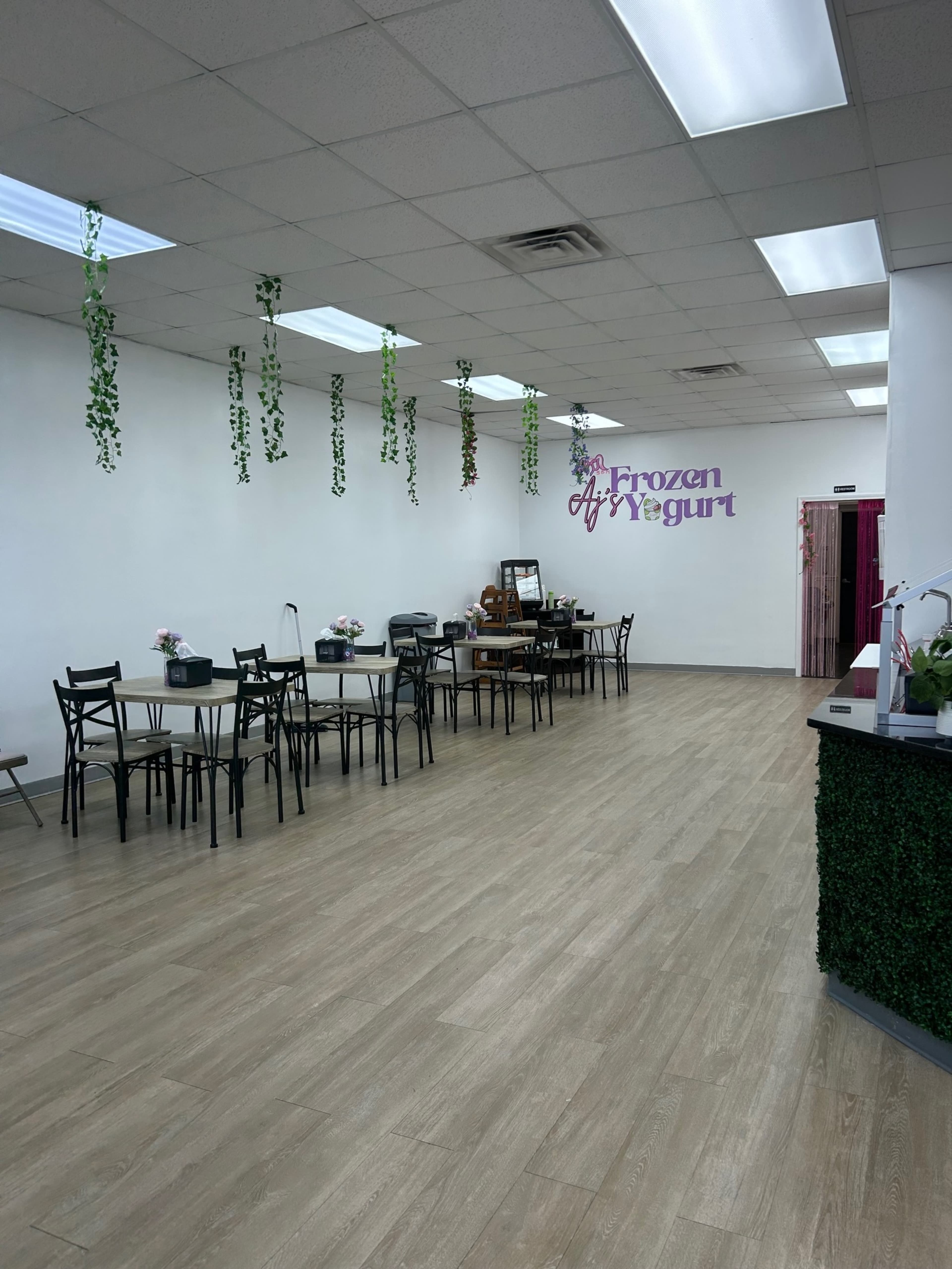 The image shows the interior of a frozen yogurt shop featuring tables and chairs, potted plants hanging from the ceiling, and a service counter.