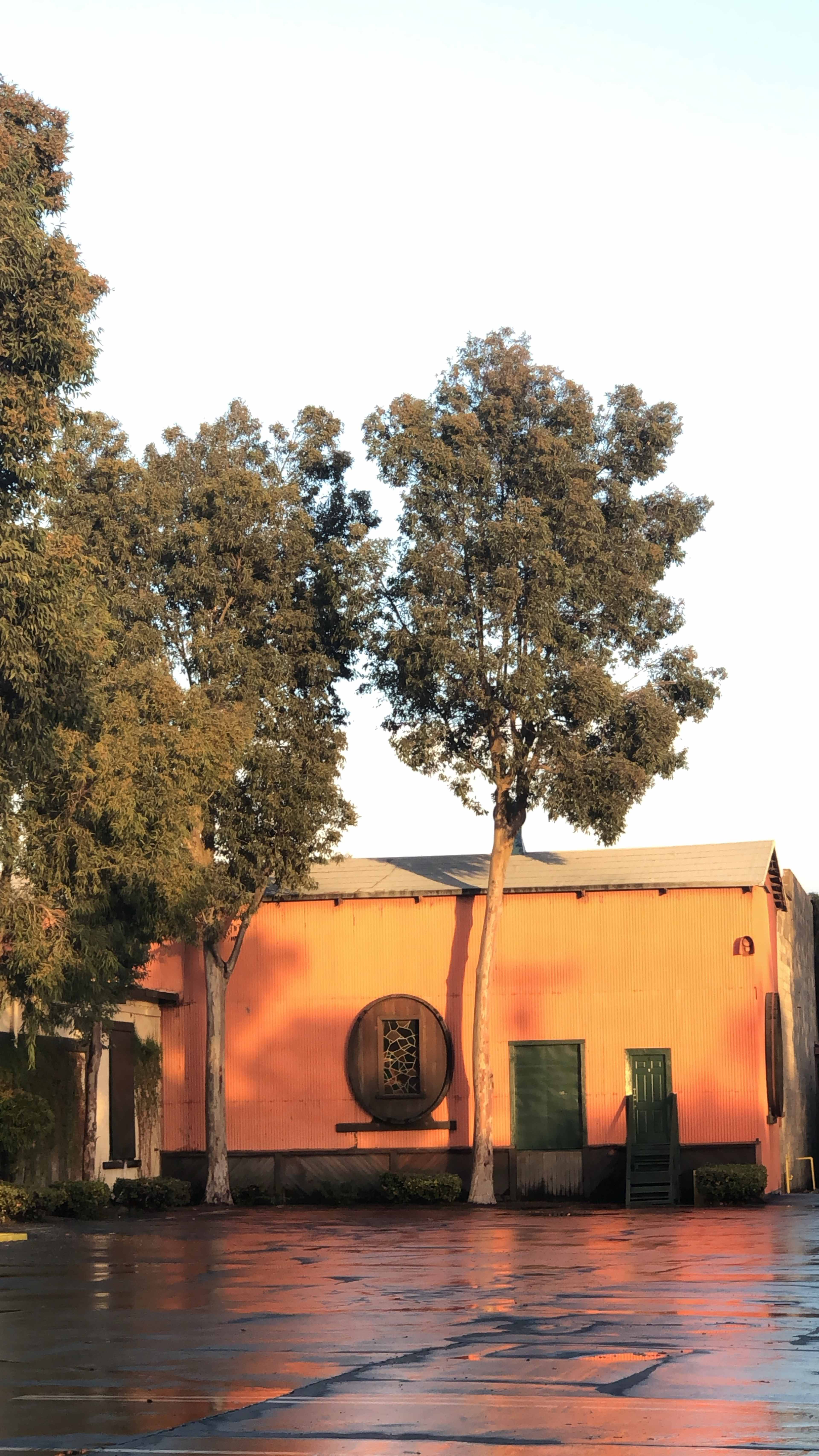 A corrugated orange building with a green door, flanked by tall trees under a clear sky.
