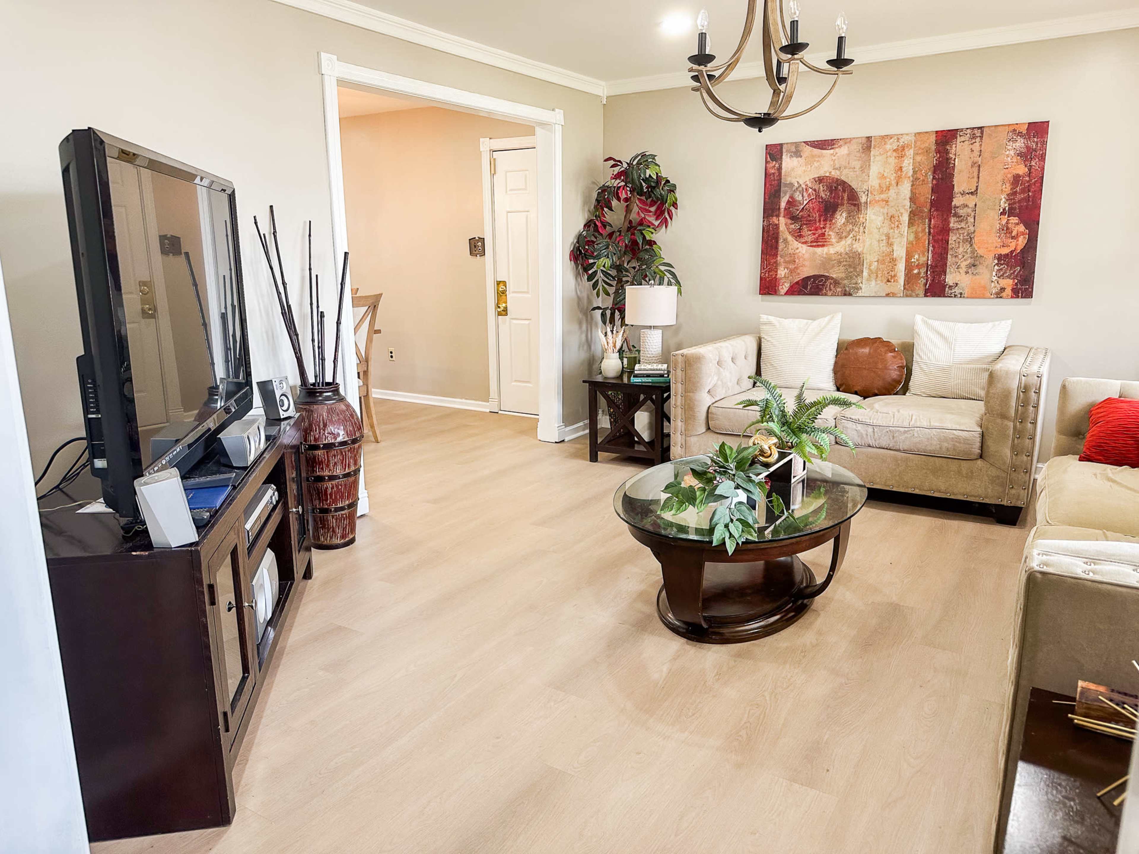 The image shows a living room with a television, a coffee table with plants, and two sofas arranged around the space.