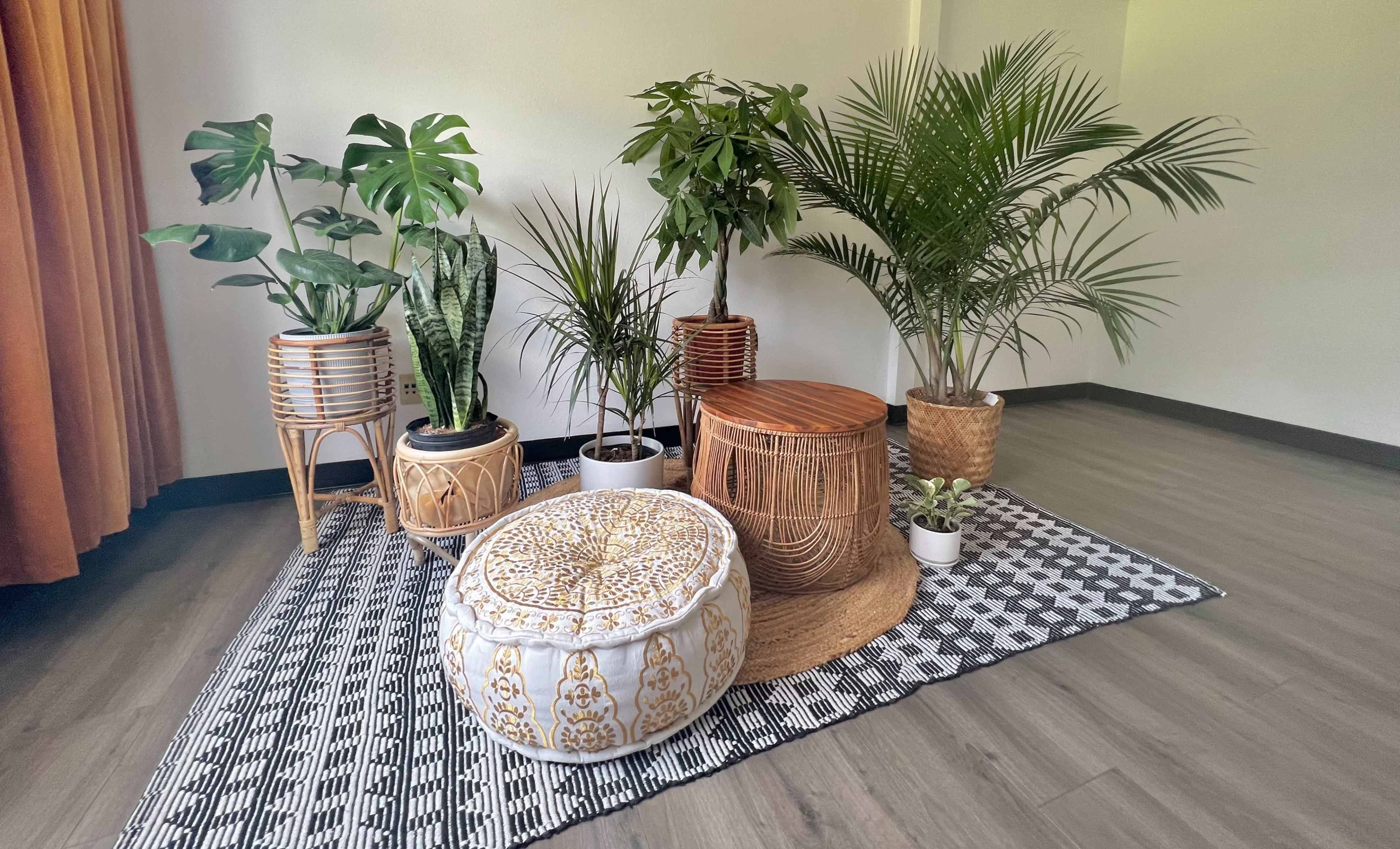 A collection of various potted plants arranged around a woven rug, with seating options made from natural materials in a spacious indoor setting.