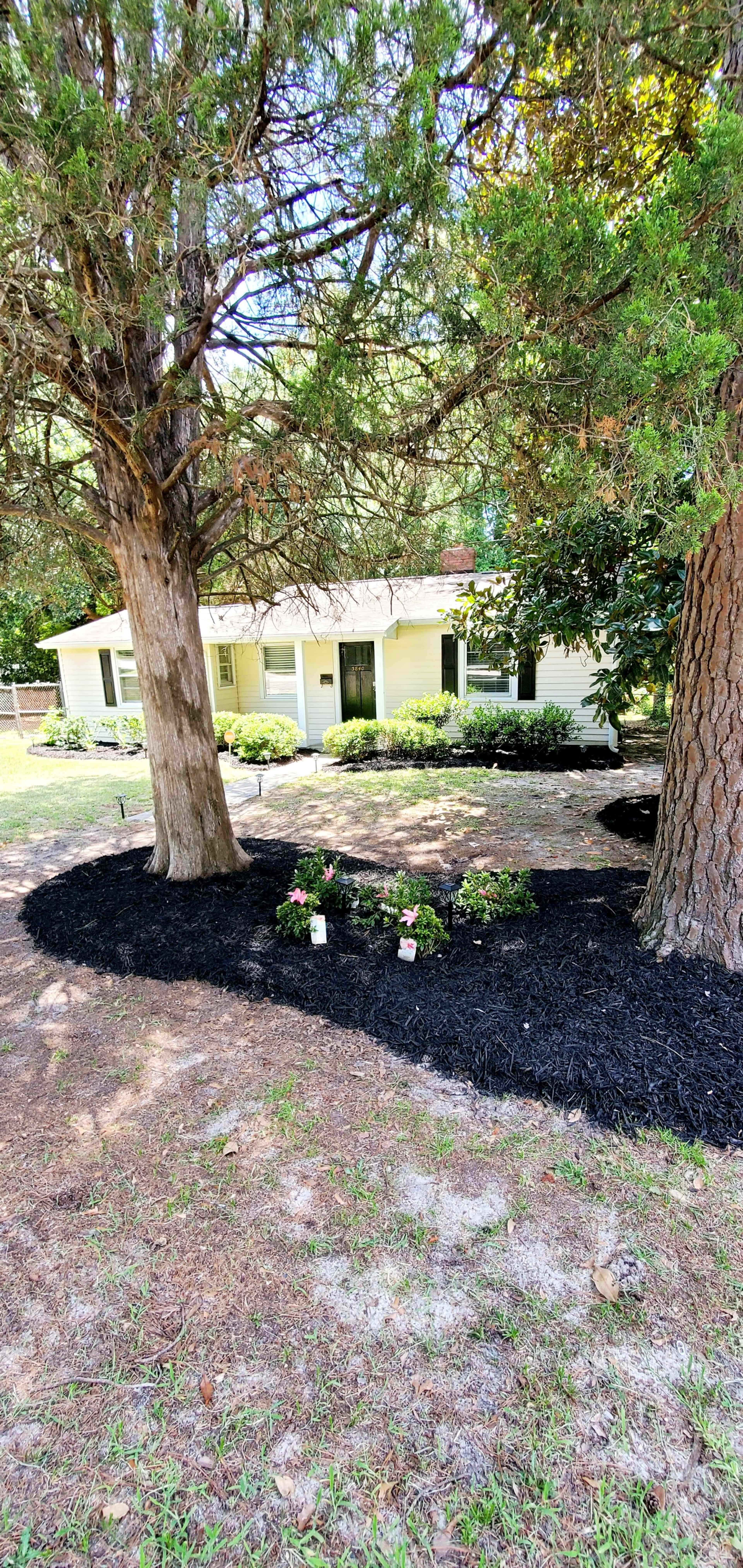 A landscaped area with black mulch and small pink flowers is planted in front of a yellow house surrounded by trees.