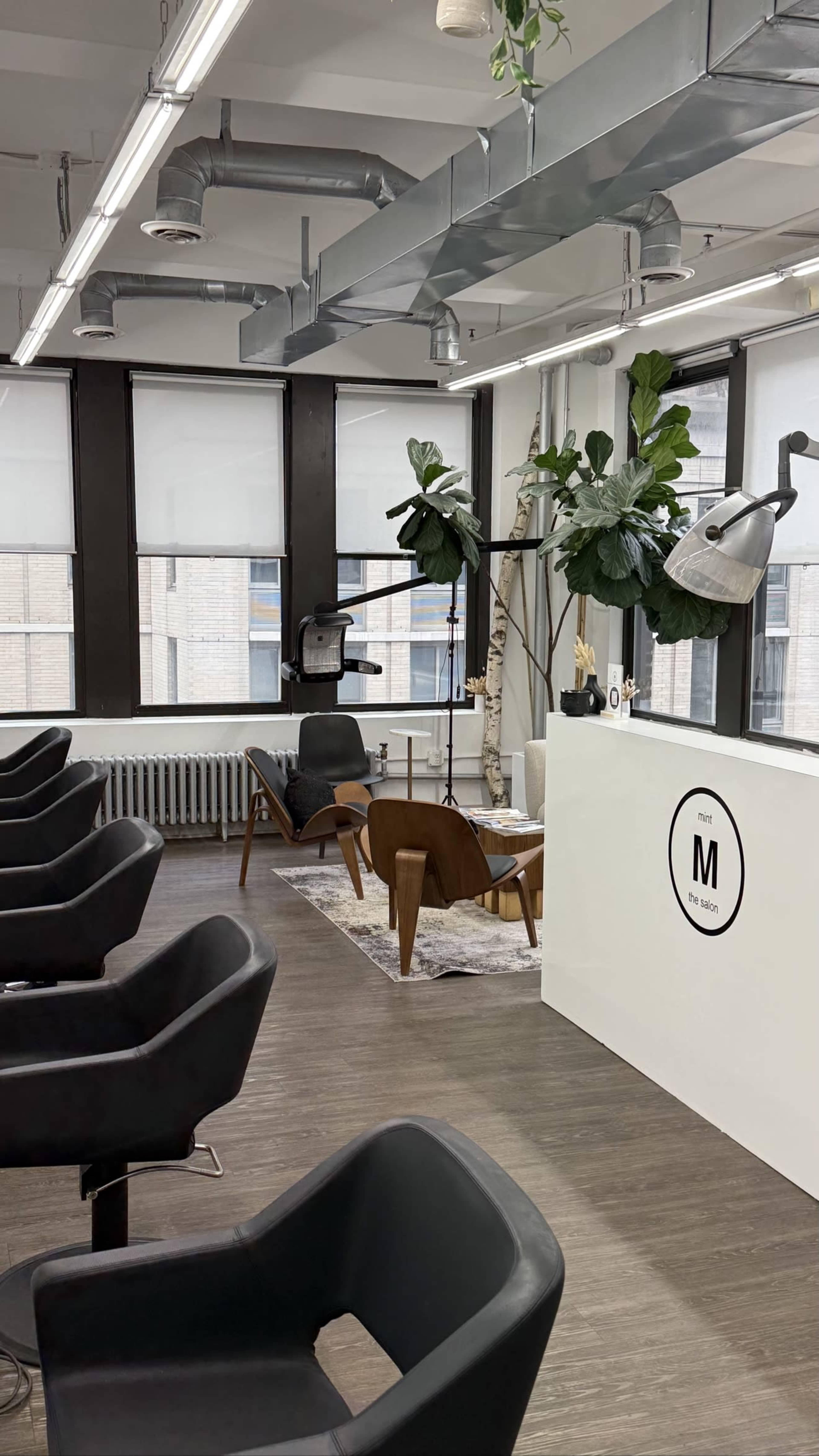 The image shows a modern salon interior featuring black styling chairs, a reception desk with a circular logo, and large windows with greenery visible.