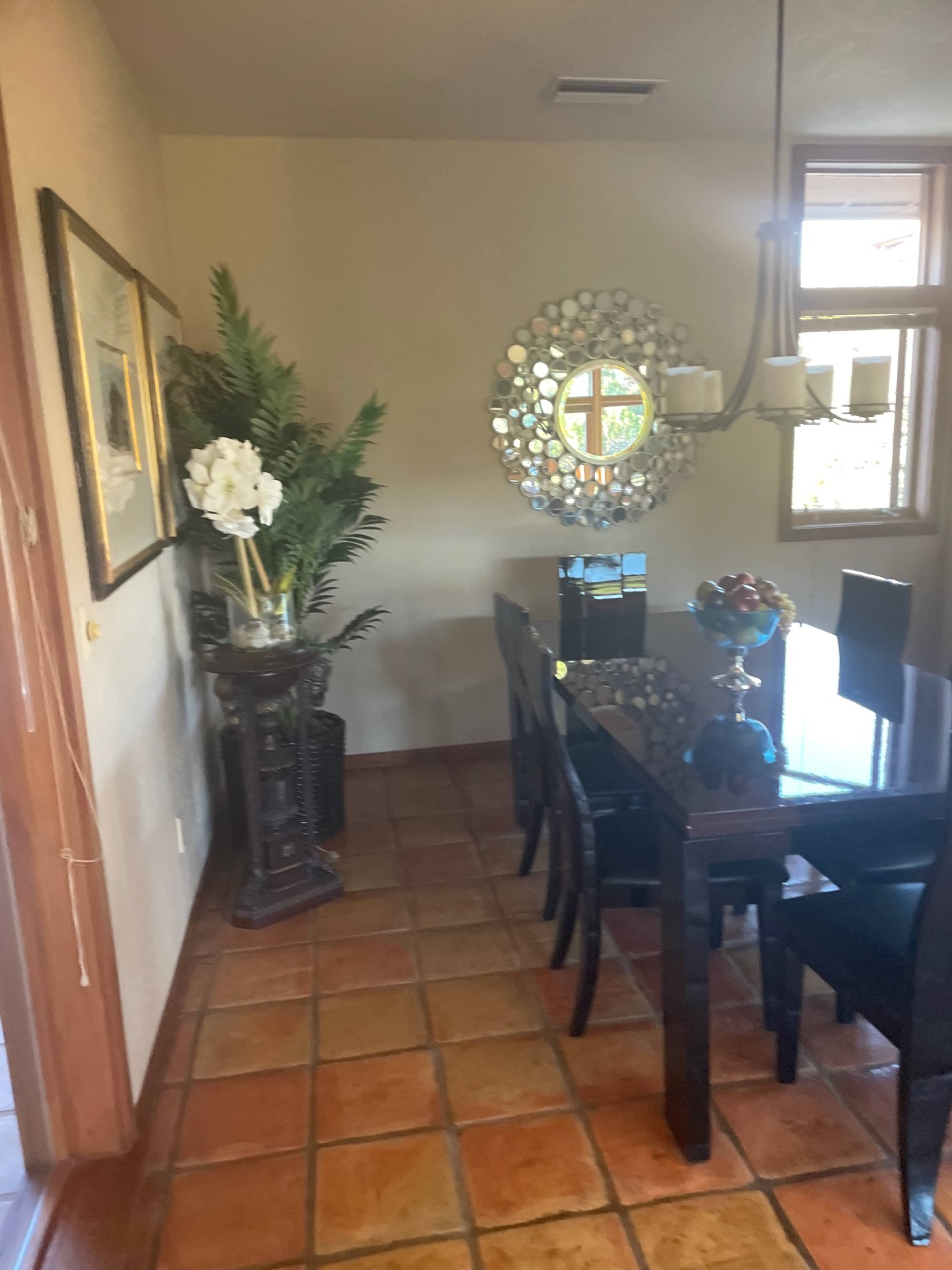 A dining area featuring a dark wooden table surrounded by chairs, a decorative mirror on the wall, and a potted plant in the corner.