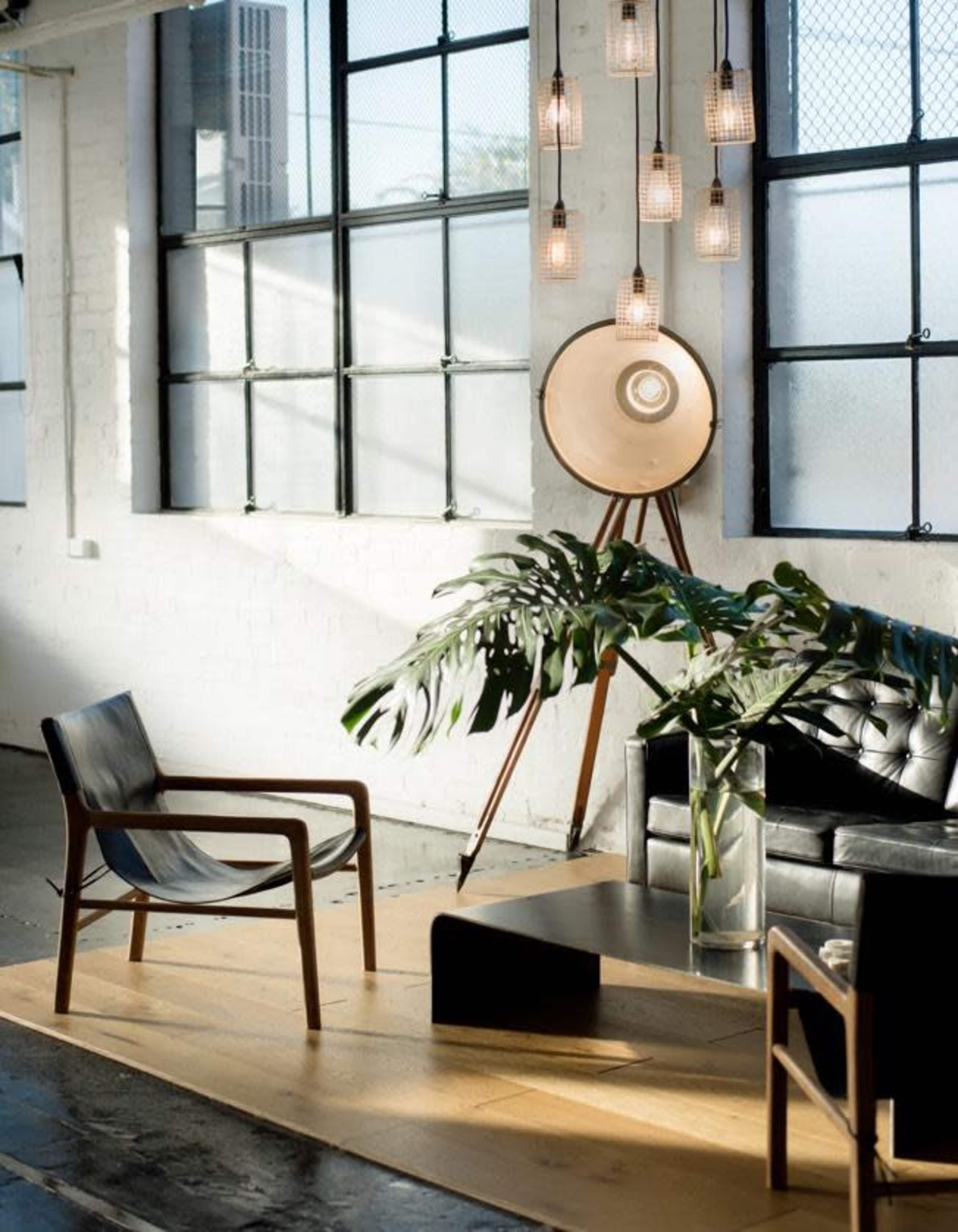 A modern, minimalist interior space with two black chairs, a large potted plant, and multiple hanging light fixtures.