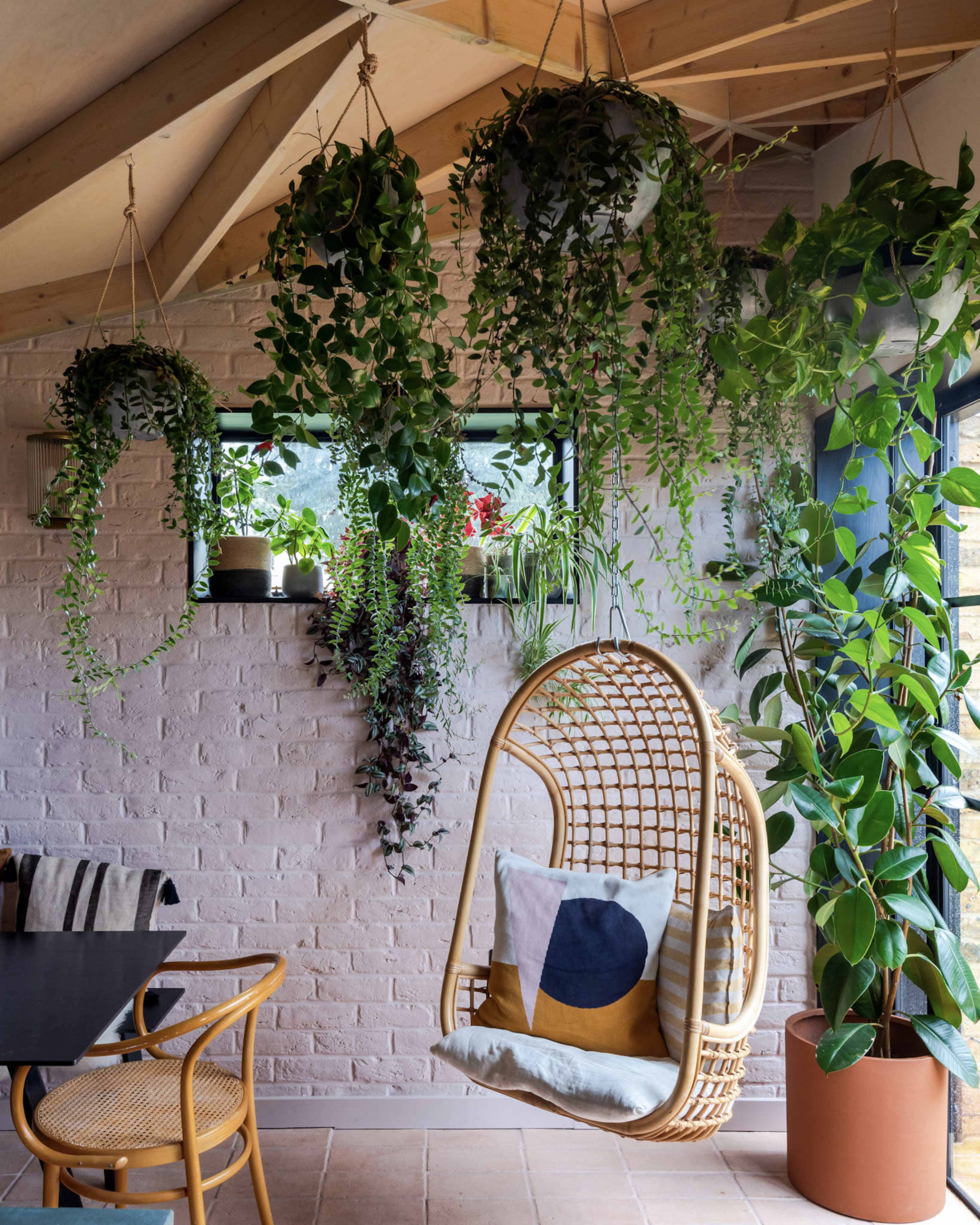 A cozy interior with a hanging rattan chair surrounded by numerous potted plants on a light-colored brick wall.