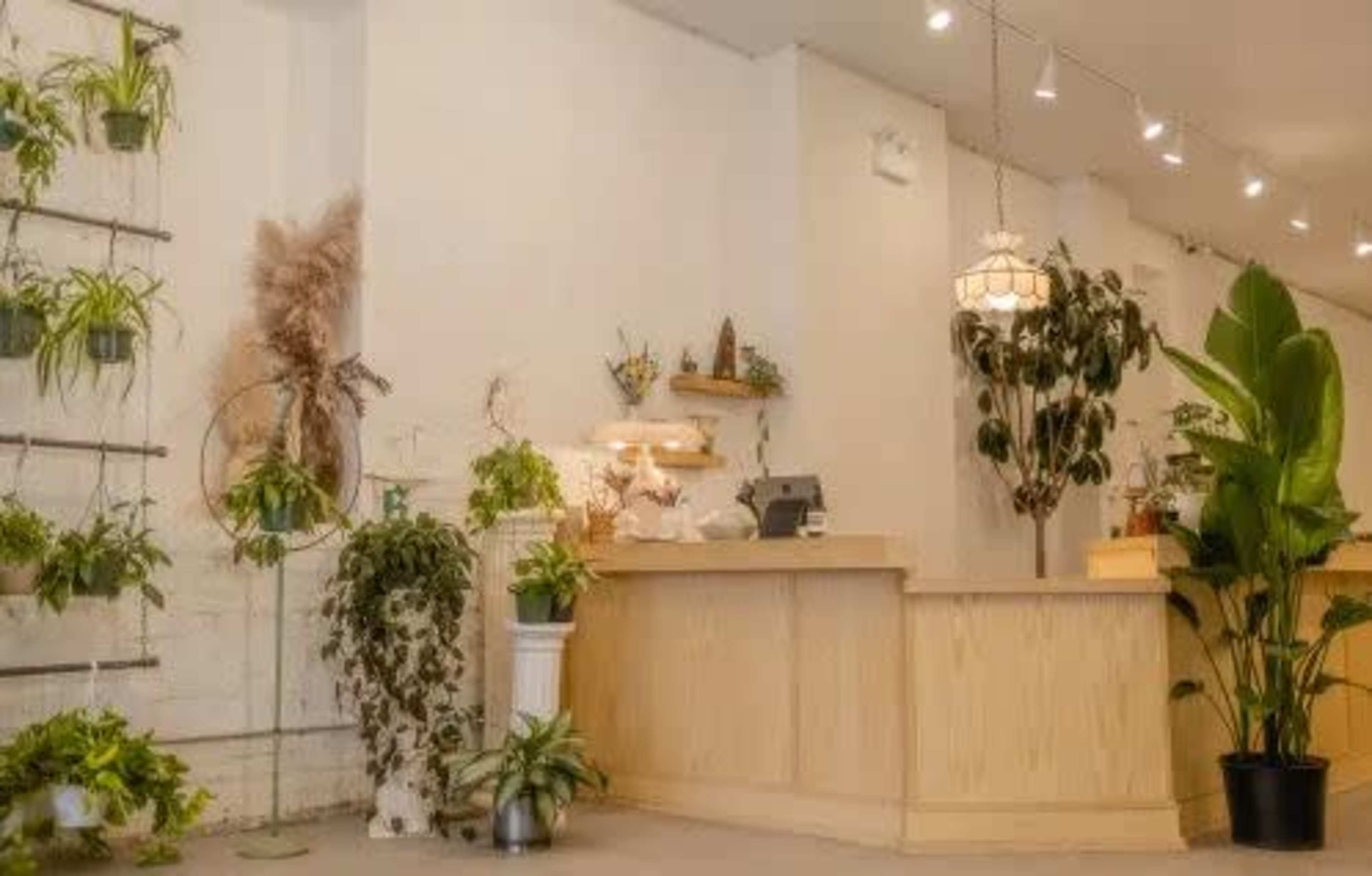 A wooden reception desk is surrounded by various indoor plants in a well-lit room.