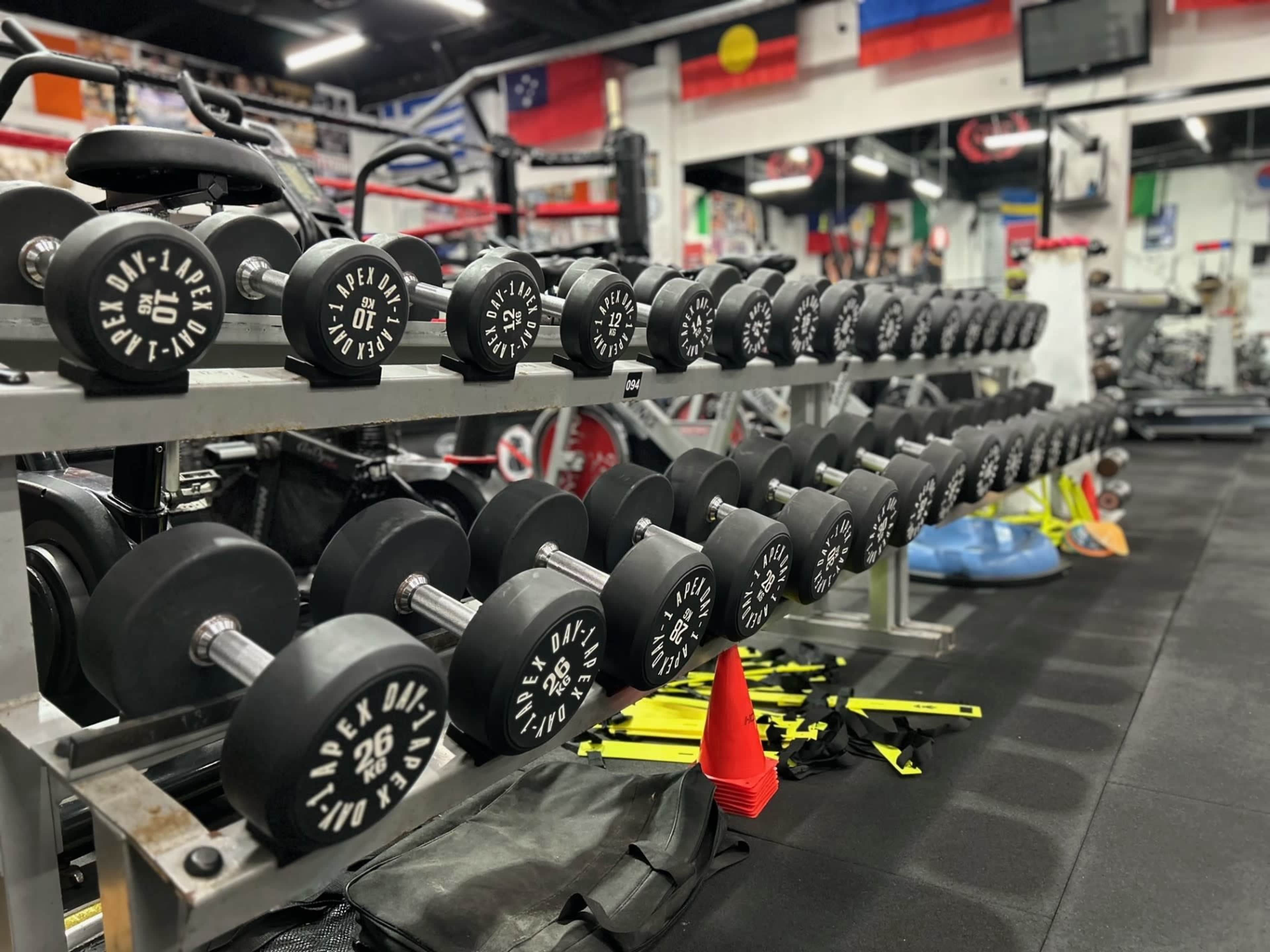 A row of black dumbbells is neatly arranged on a rack in a gym, with various exercise equipment visible in the background.