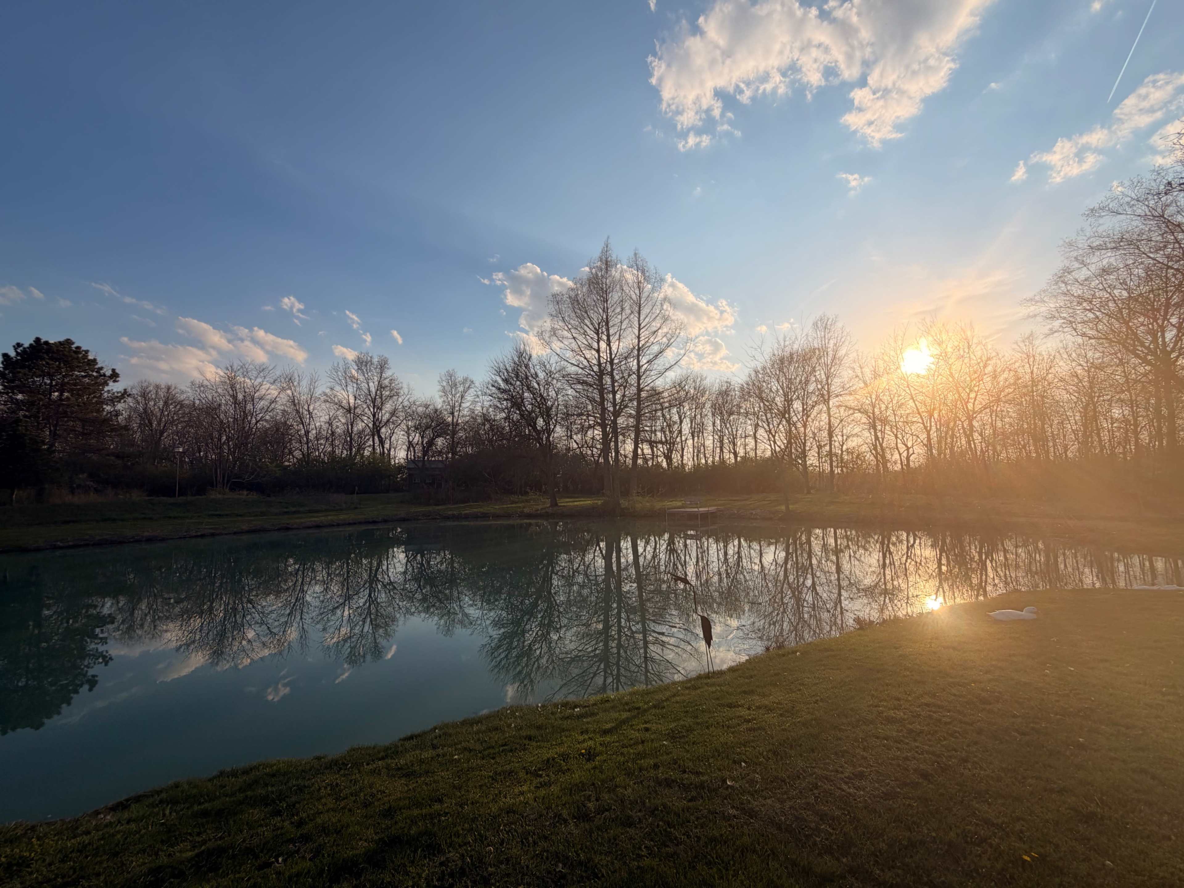 The scene shows a pond surrounded by bare trees and grass, with the sun setting behind the horizon, reflecting on the water's surface.