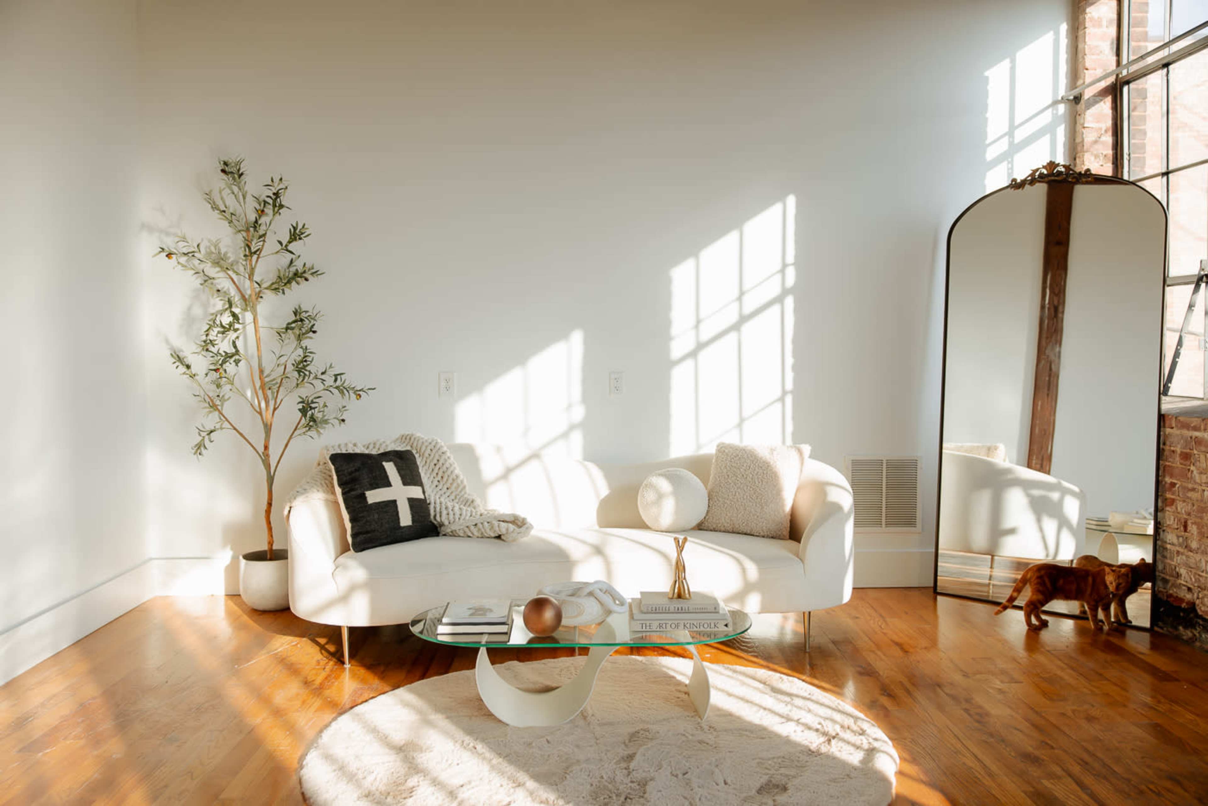 A bright living room features a white curved sofa, a glass coffee table, a large mirror, and a decorative plant, with sunlight casting shadows on the wooden floor.