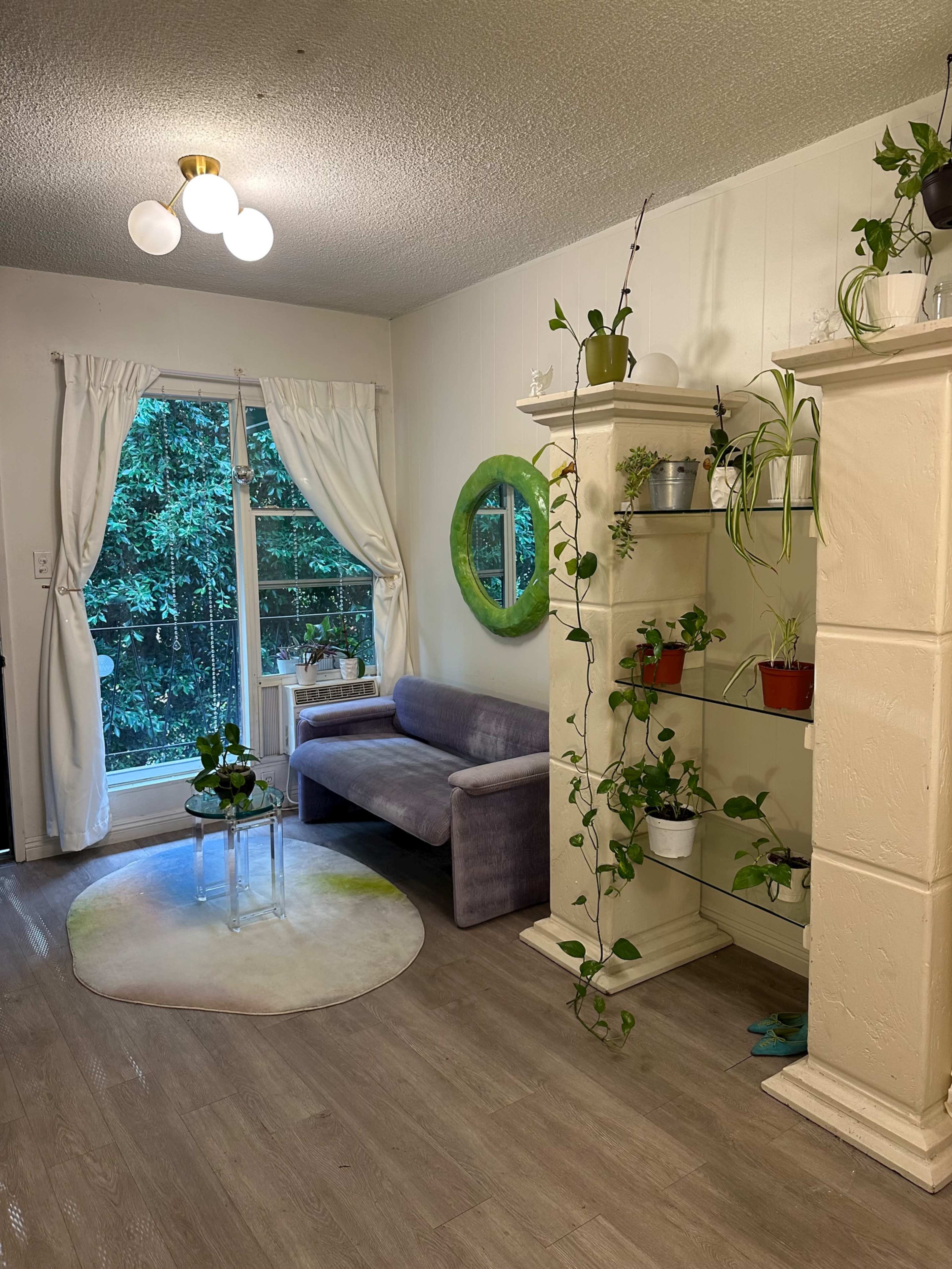 A cozy room featuring a gray sofa, a glass coffee table, a round green rug, and a shelf filled with potted plants next to a window with white curtains.