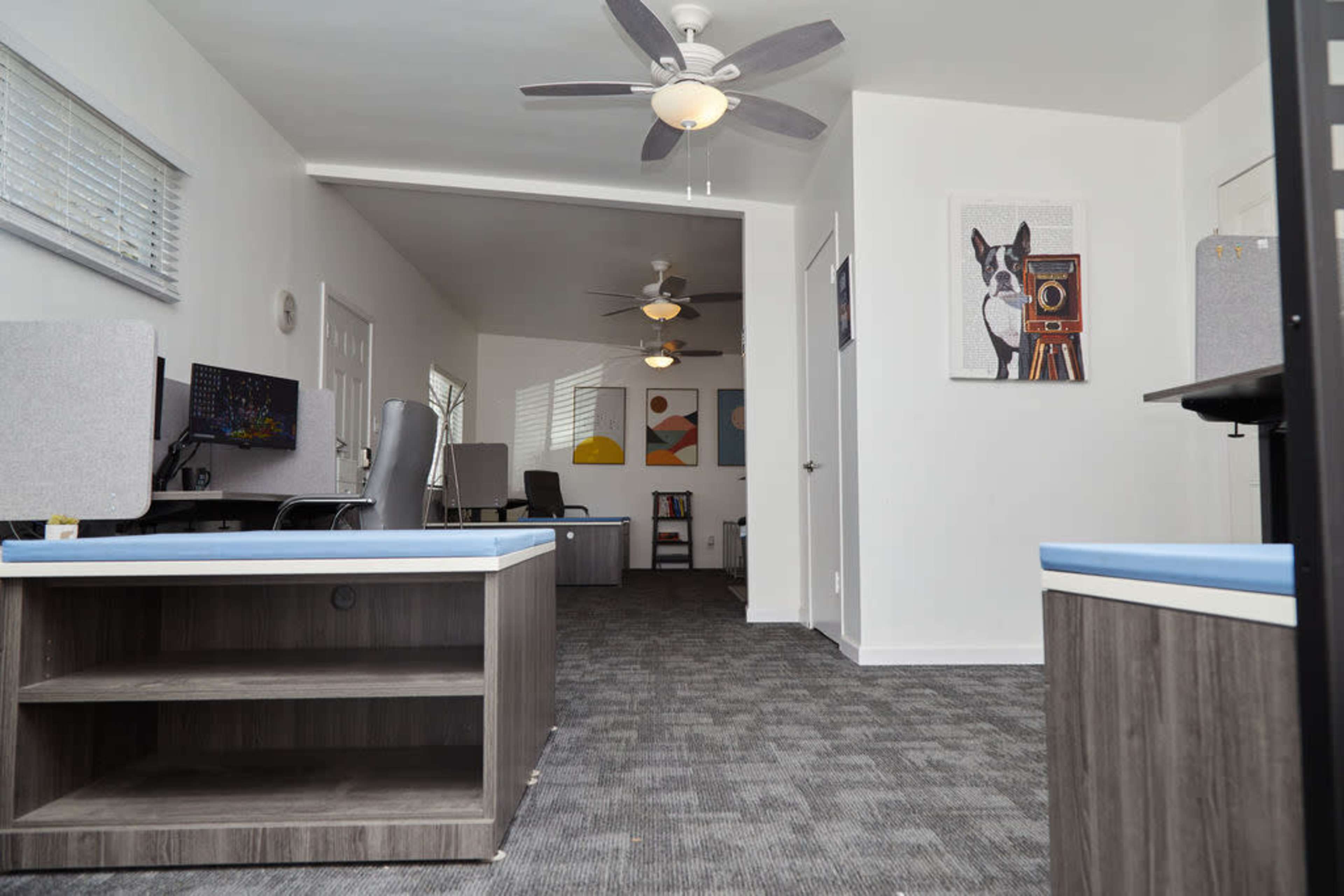 A modern office space with a gray carpet, desks with light blue surfaces, and wall art featuring a dog and abstract designs.