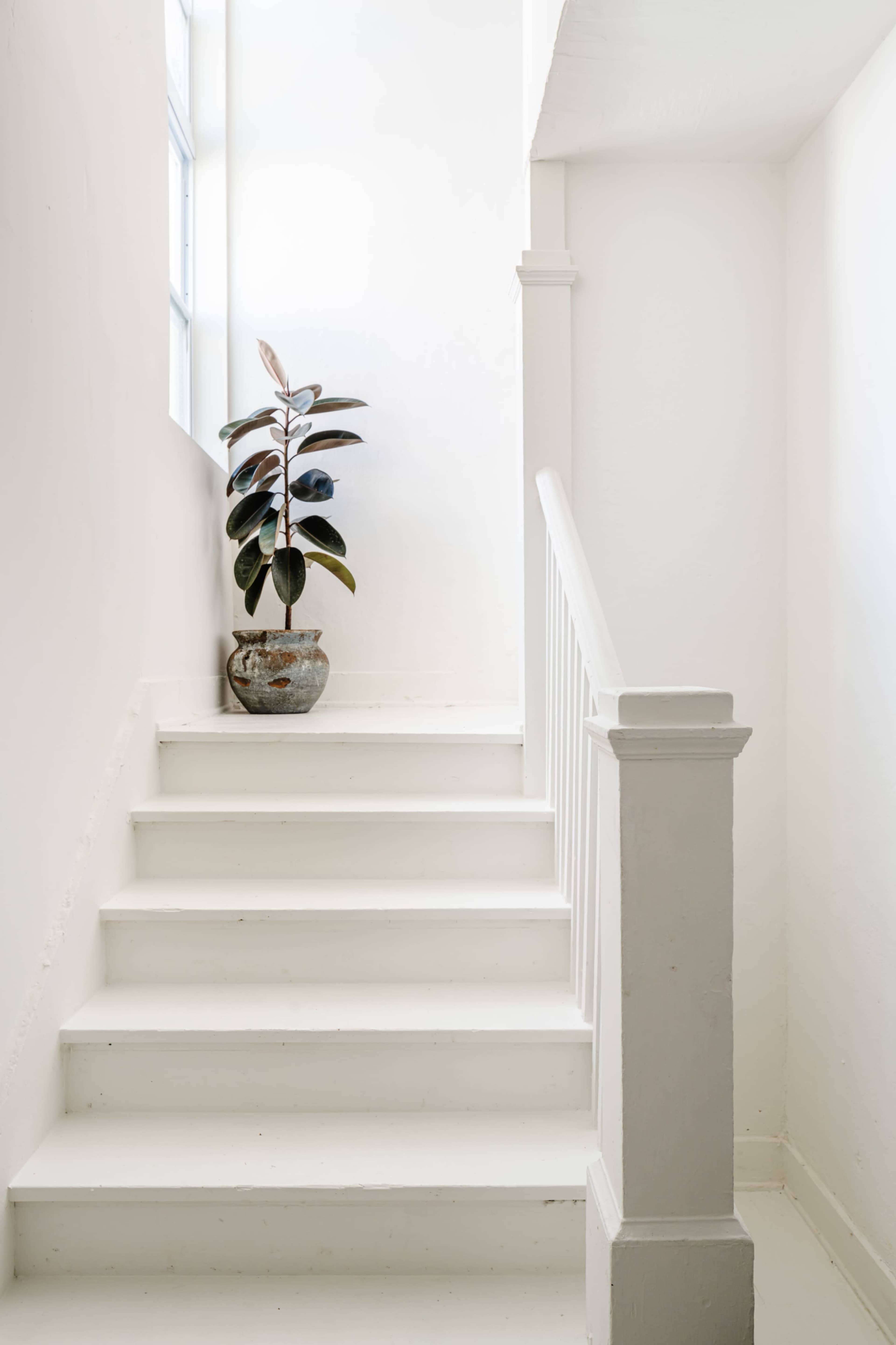 A potted plant stands on a staircase leading up to a brightly lit room.