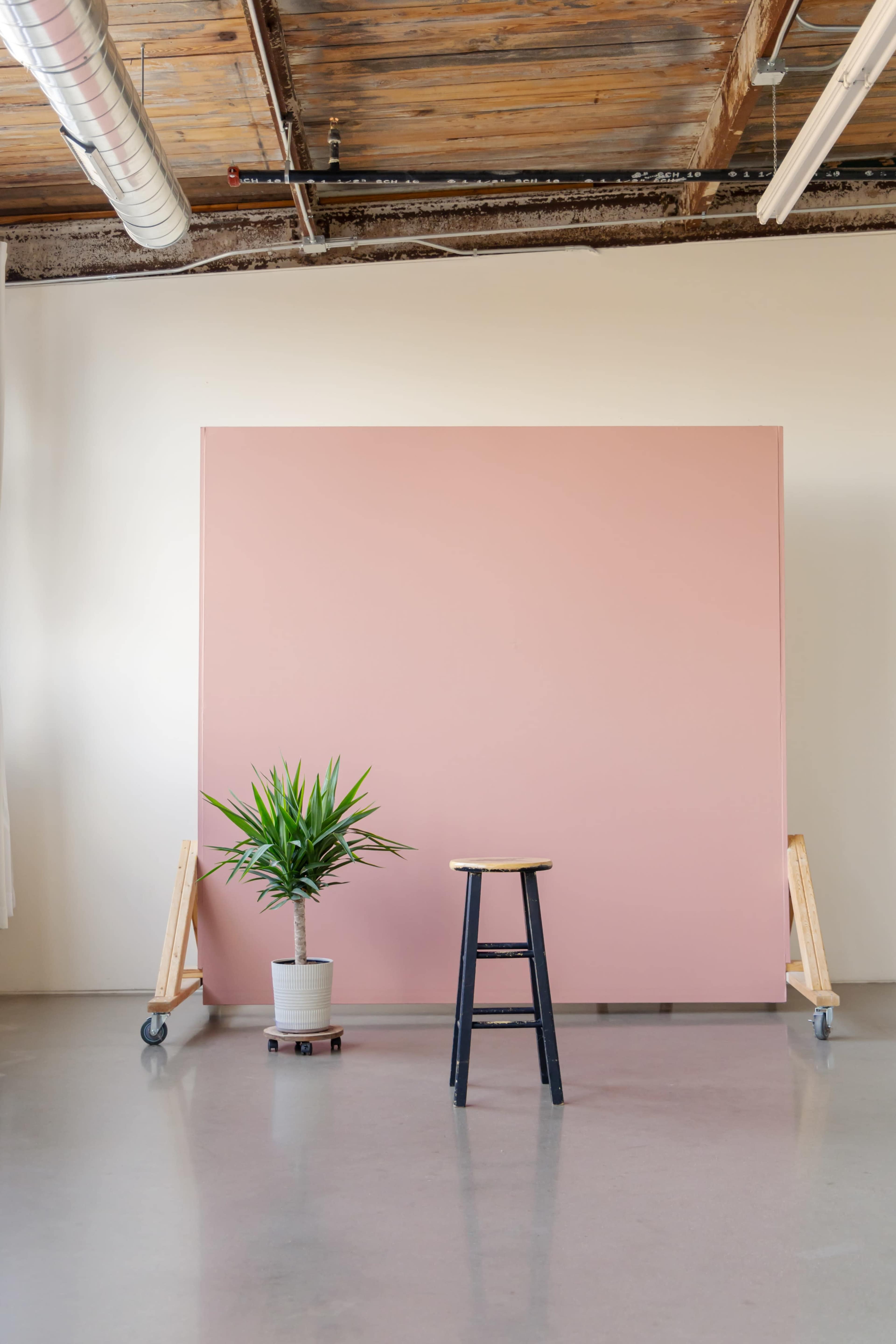 A black stool stands beside a potted plant in front of a large pink backdrop in a bright indoor space.