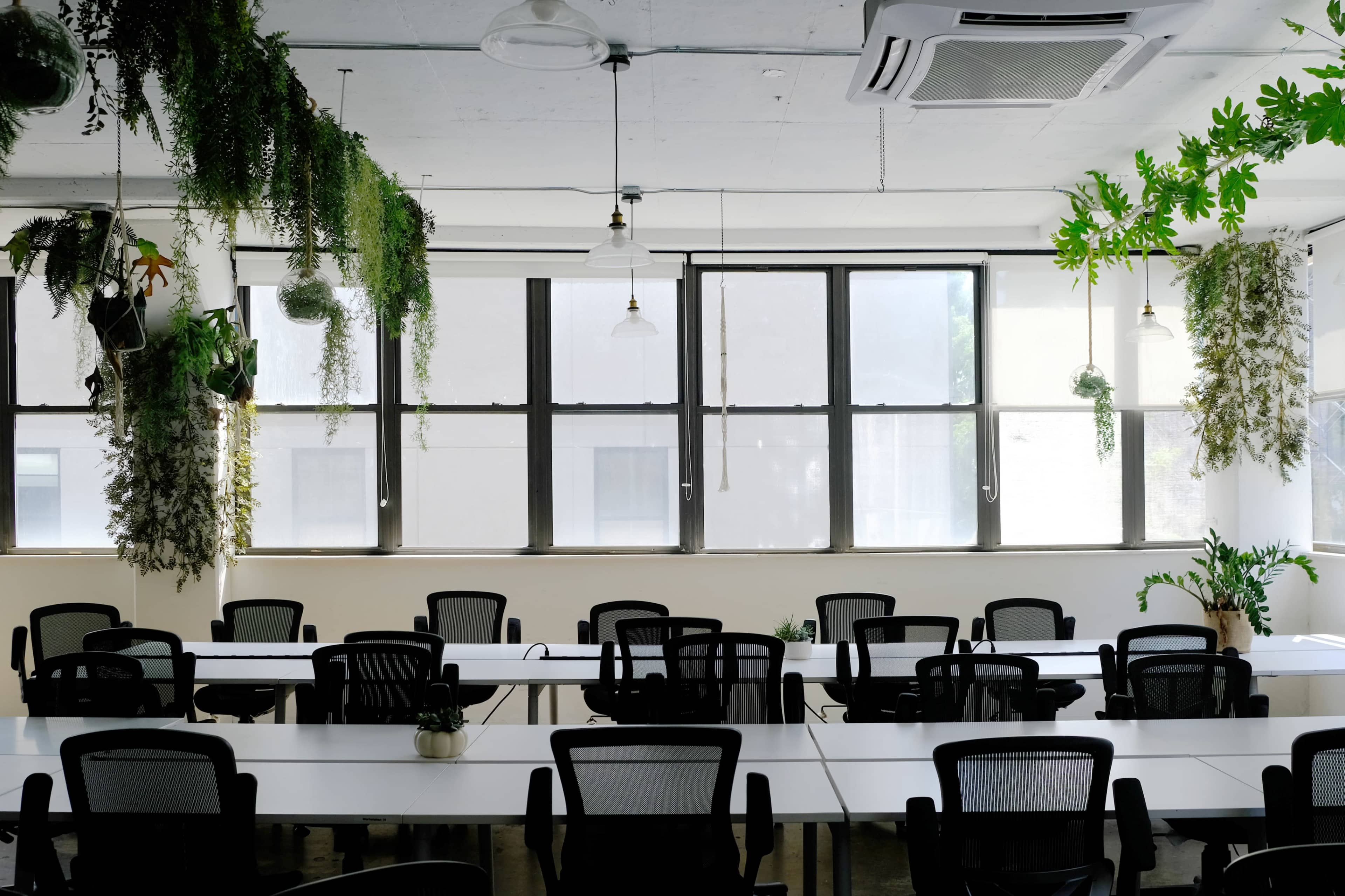 The image shows a modern office space with multiple white tables and black chairs arranged under hanging plants and large windows.