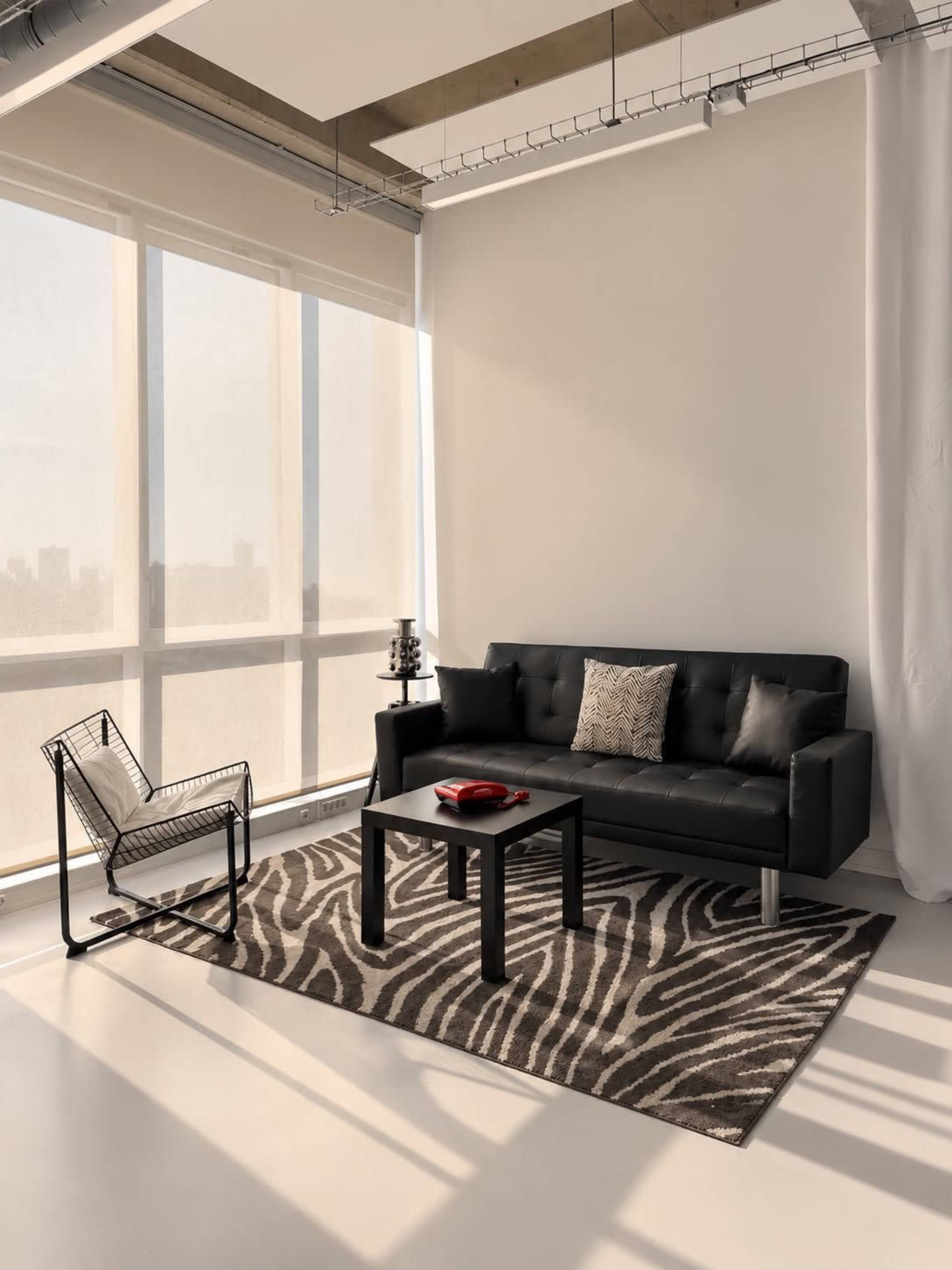 A modern living room features a black sofa, a black coffee table, a zebra-patterned rug, and a sleek chair, all illuminated by natural light from large windows.