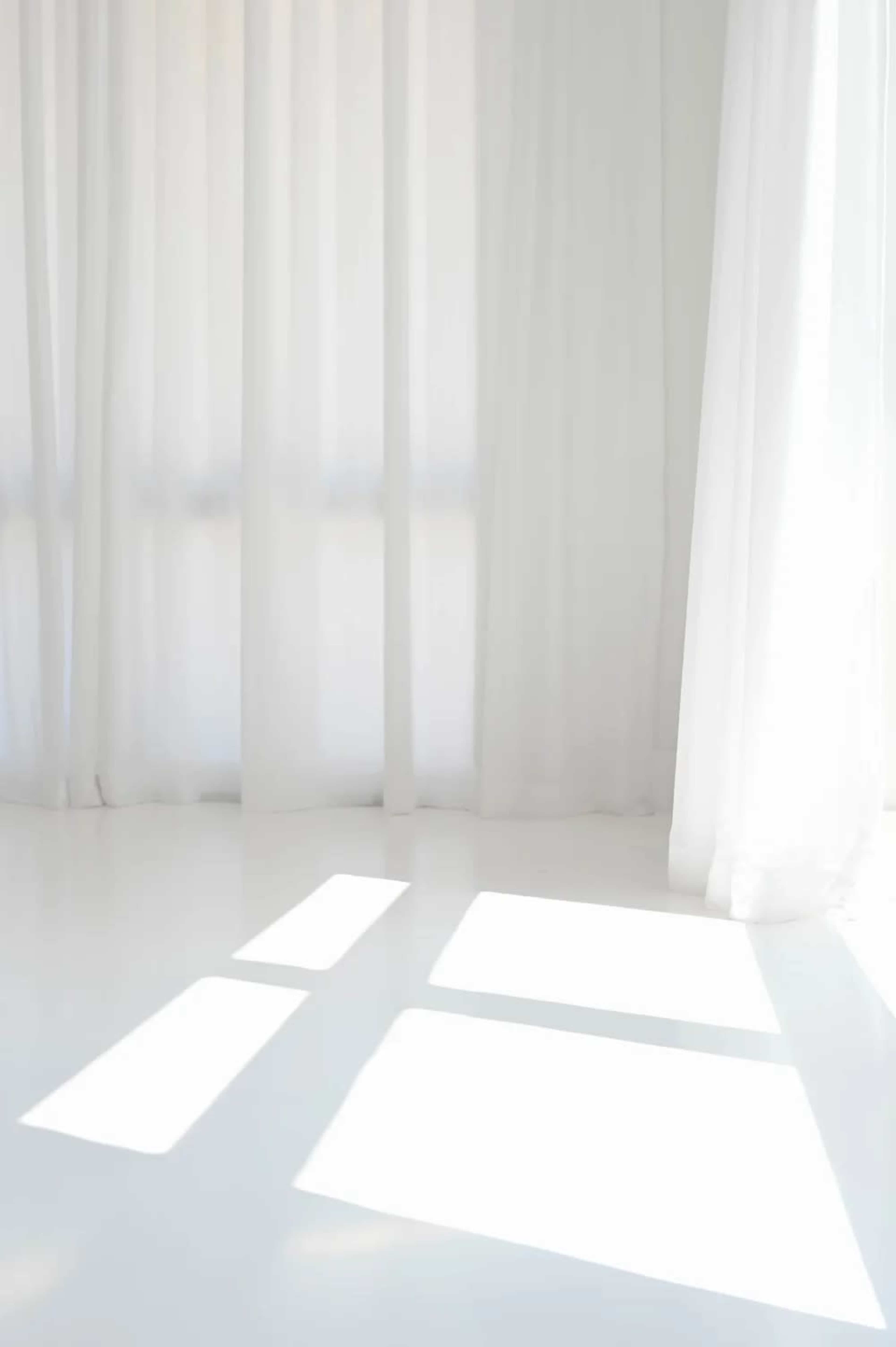 Natural Light Studio in Miami Image in Miami Lakes, Miami Lakes, FL