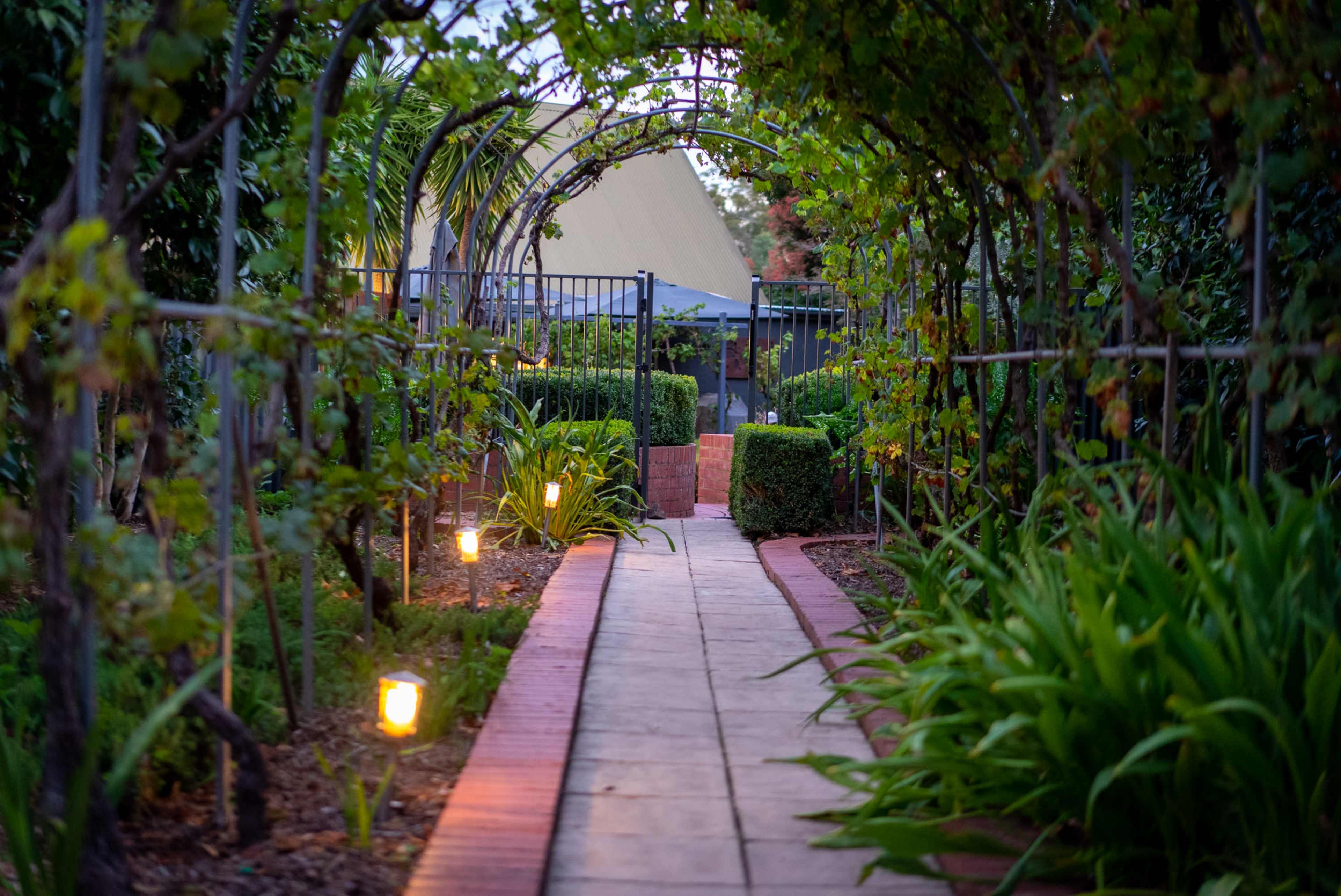 A stone pathway lined with greenery leads through an archway covered in vines, illuminated by soft garden lights.