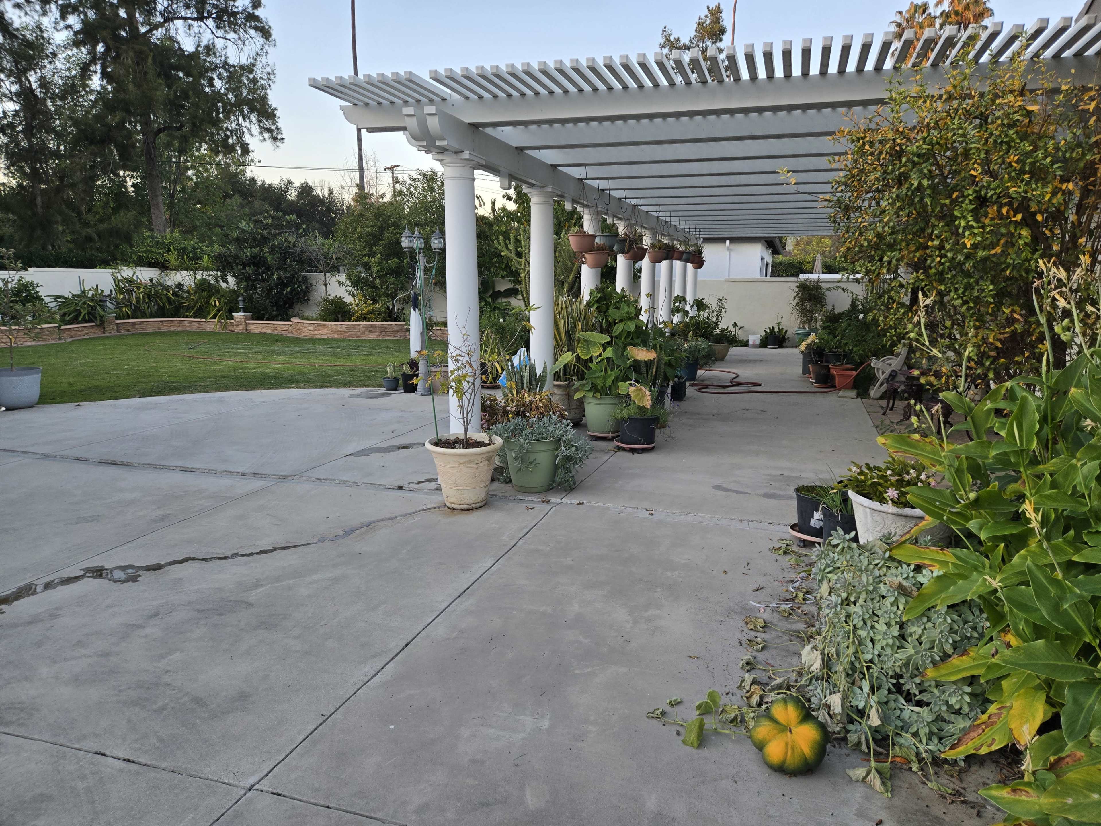 A concrete patio is shaded by a pergola, lined with potted plants and a grassy area in the background.