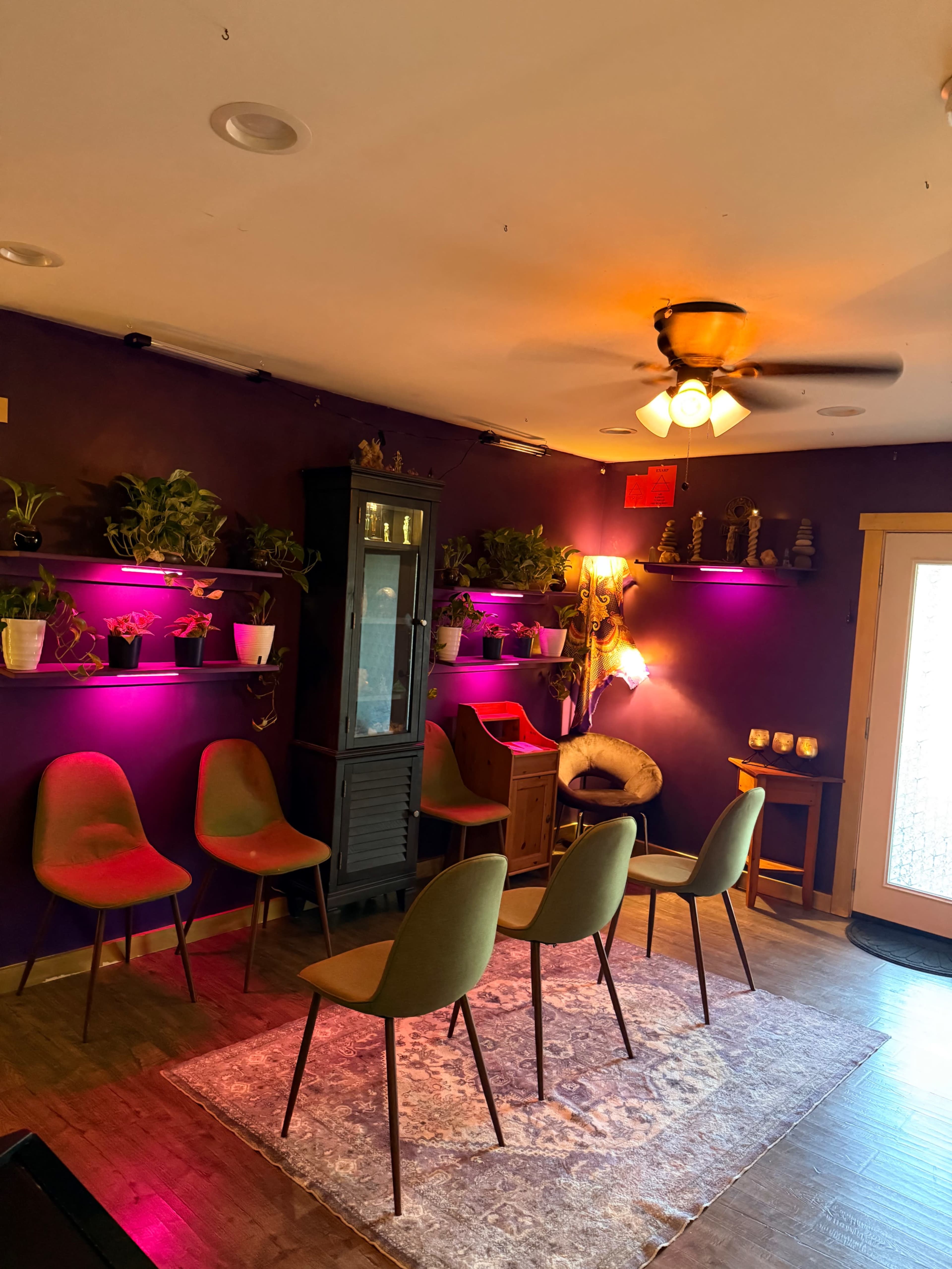 The image shows a room with purple walls, furnished with green chairs arranged around a decorative rug, and illuminated by purple and warm lighting from shelves filled with plants.