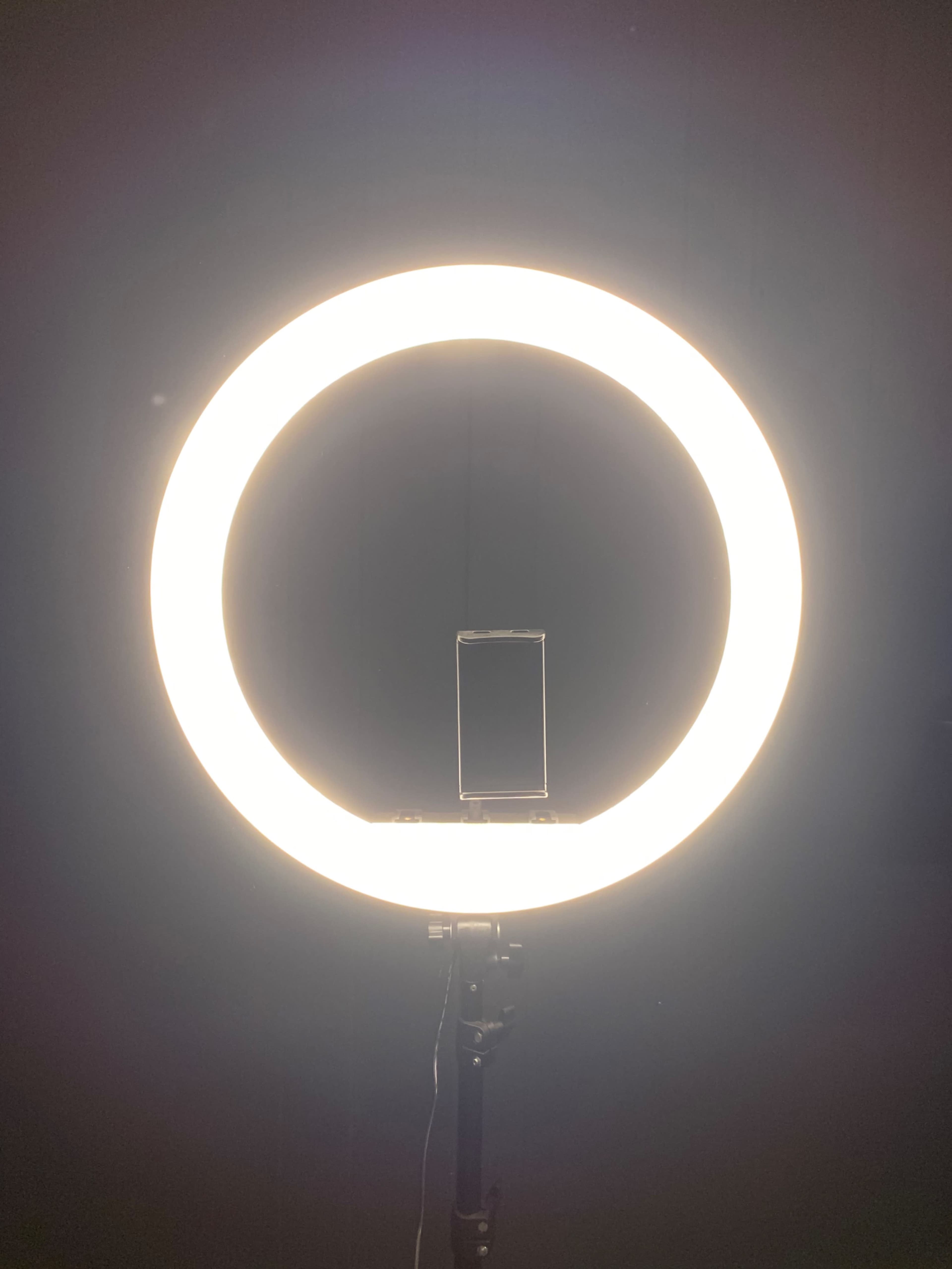 A smartphone is positioned on a stand in front of a large, illuminated ring light.