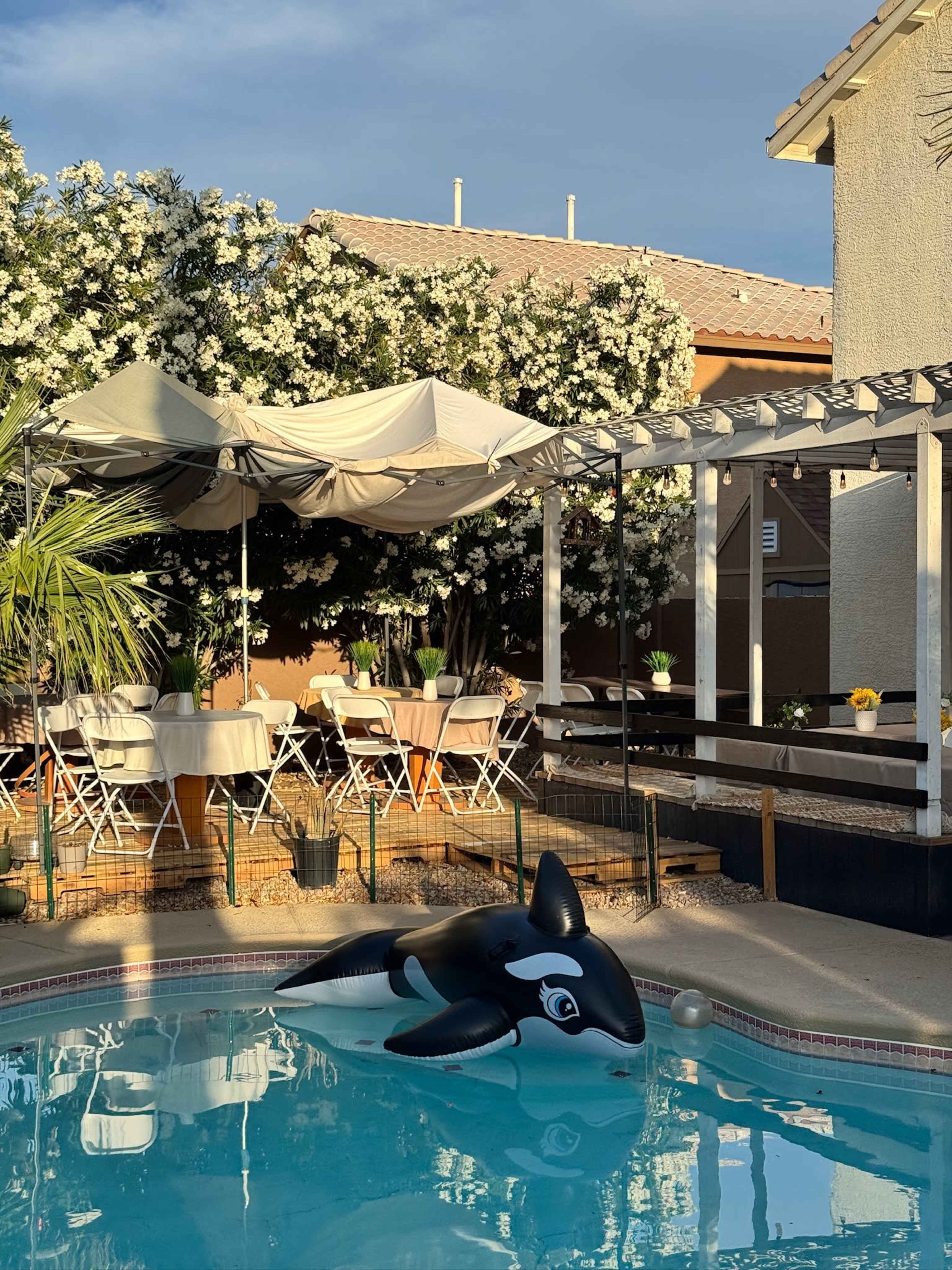 Tropical Backyard Oasis with Pool for Events Image in Centennial Hills, Las Vegas, NV