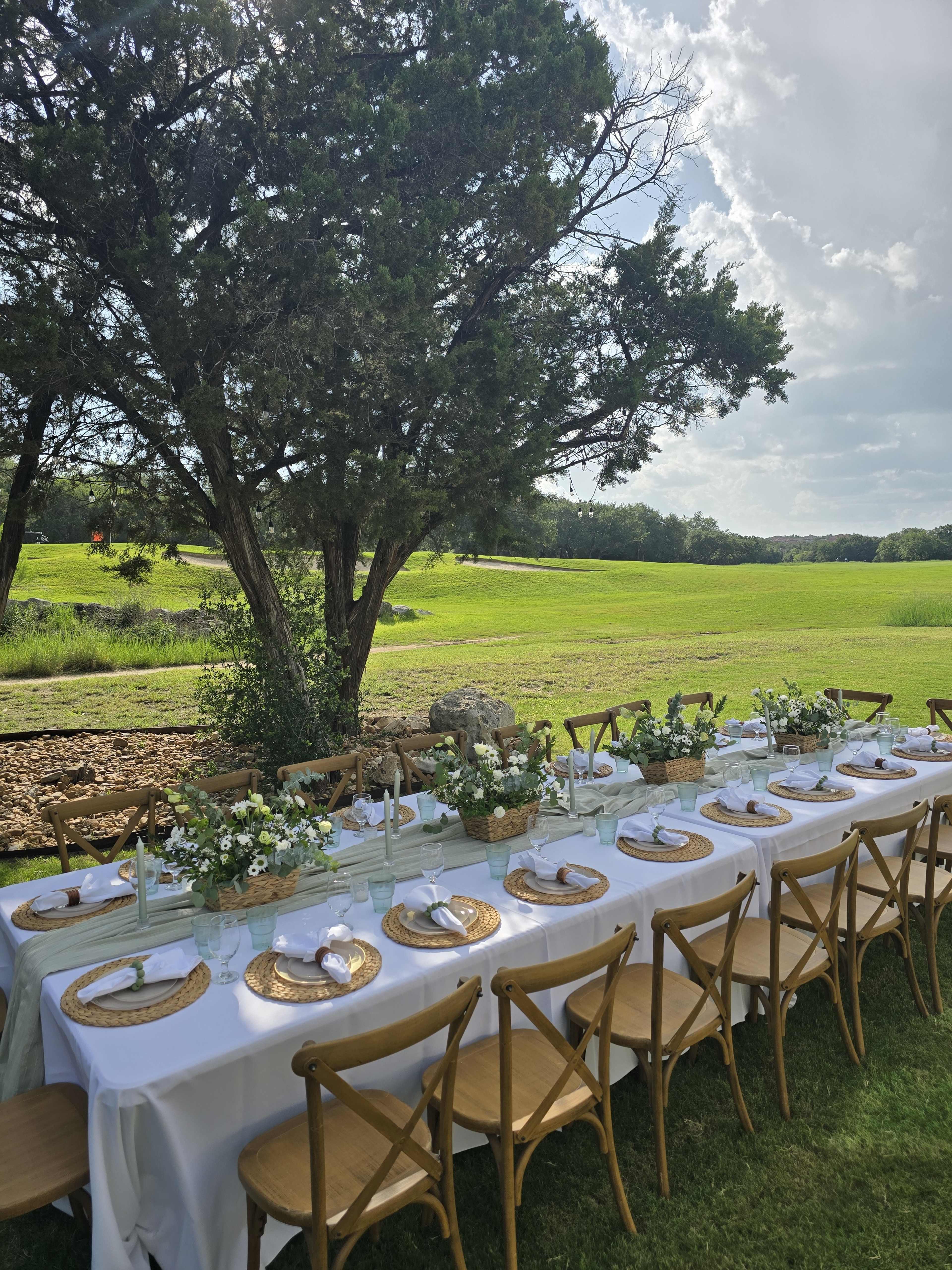 A long outdoor table is set for a meal, adorned with floral centerpieces and white tableware, under a large tree with a grassy landscape in the background.