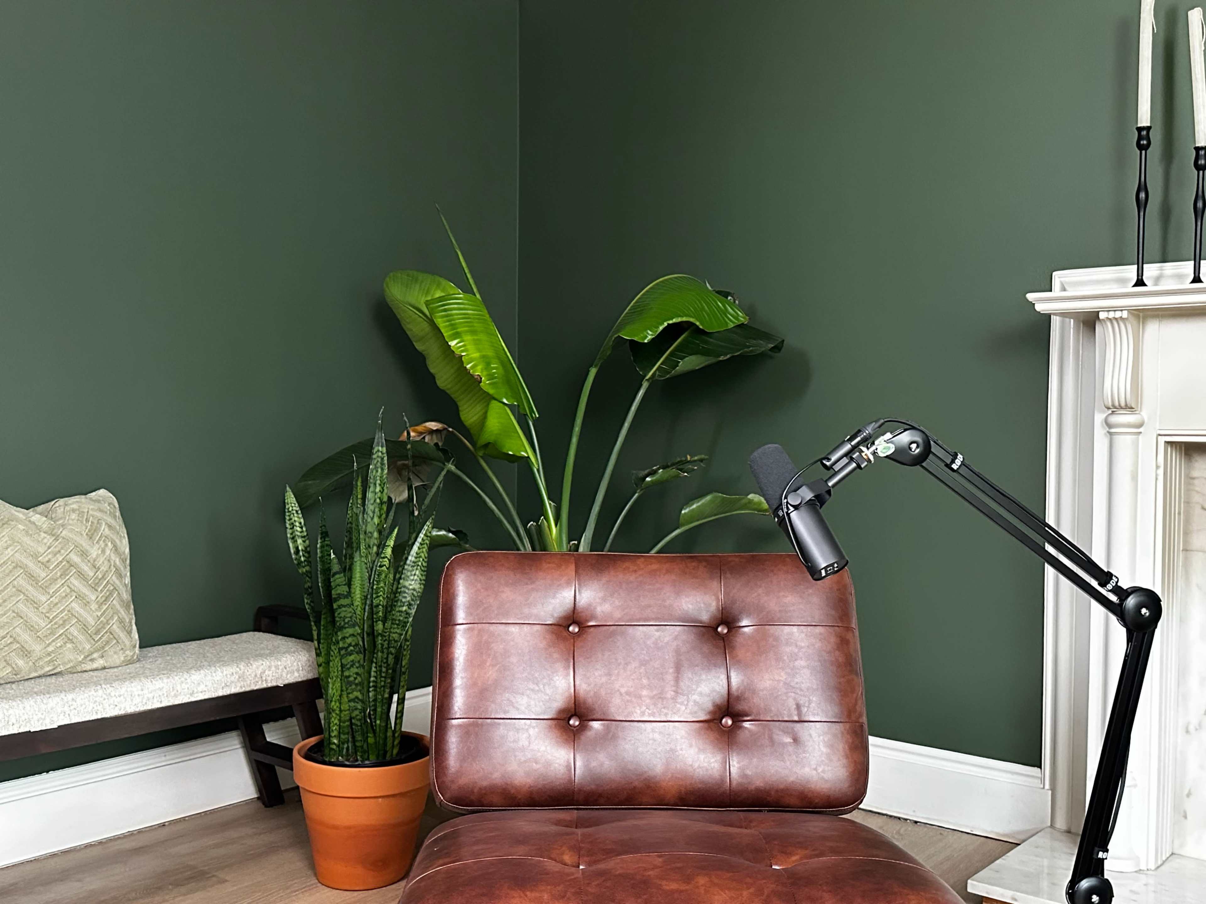 The image shows a brown leather chair next to potted plants in a room with dark green walls and a white fireplace.