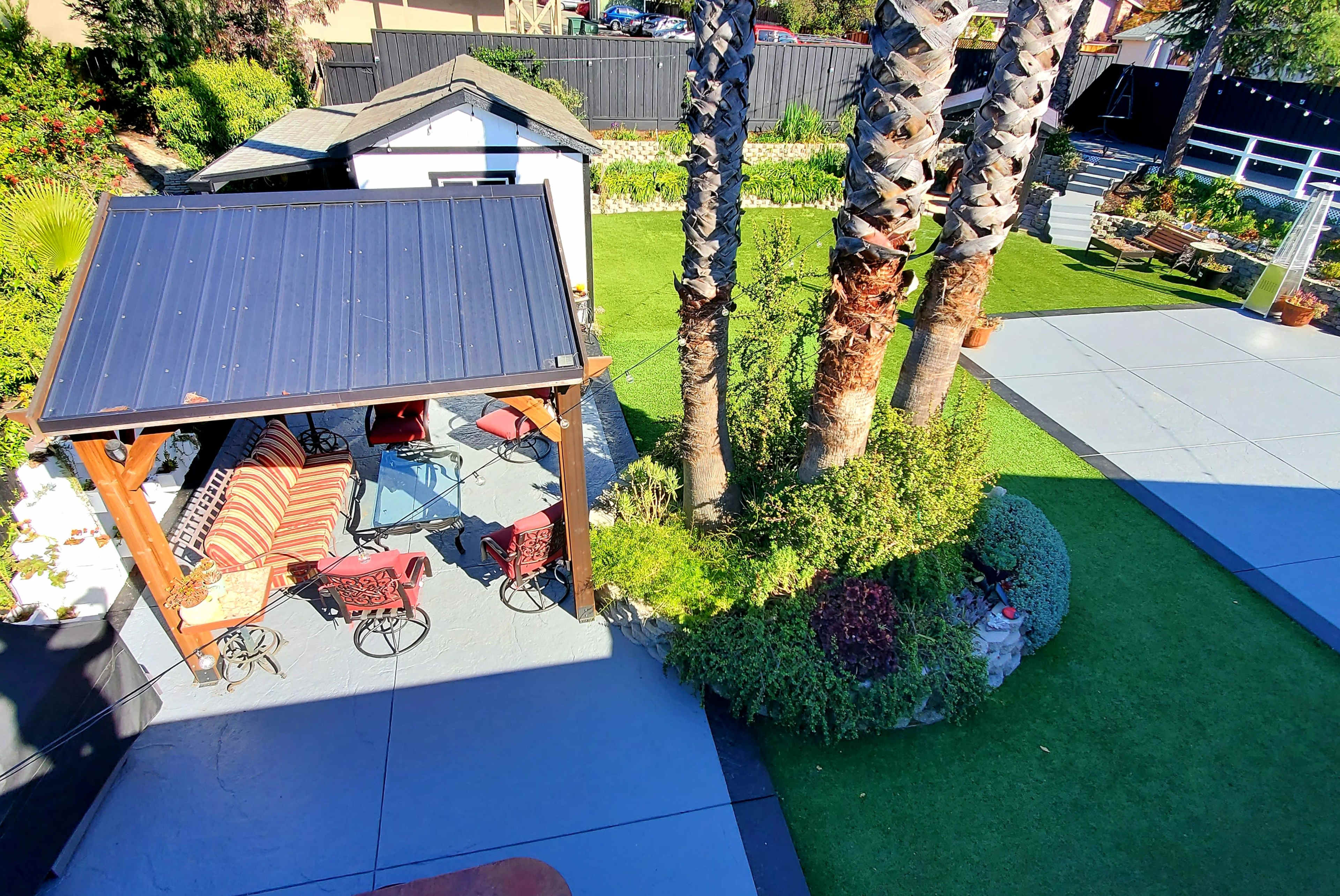 A backyard with a covered seating area, palm trees, and landscaped greenery adjacent to a paved patio.