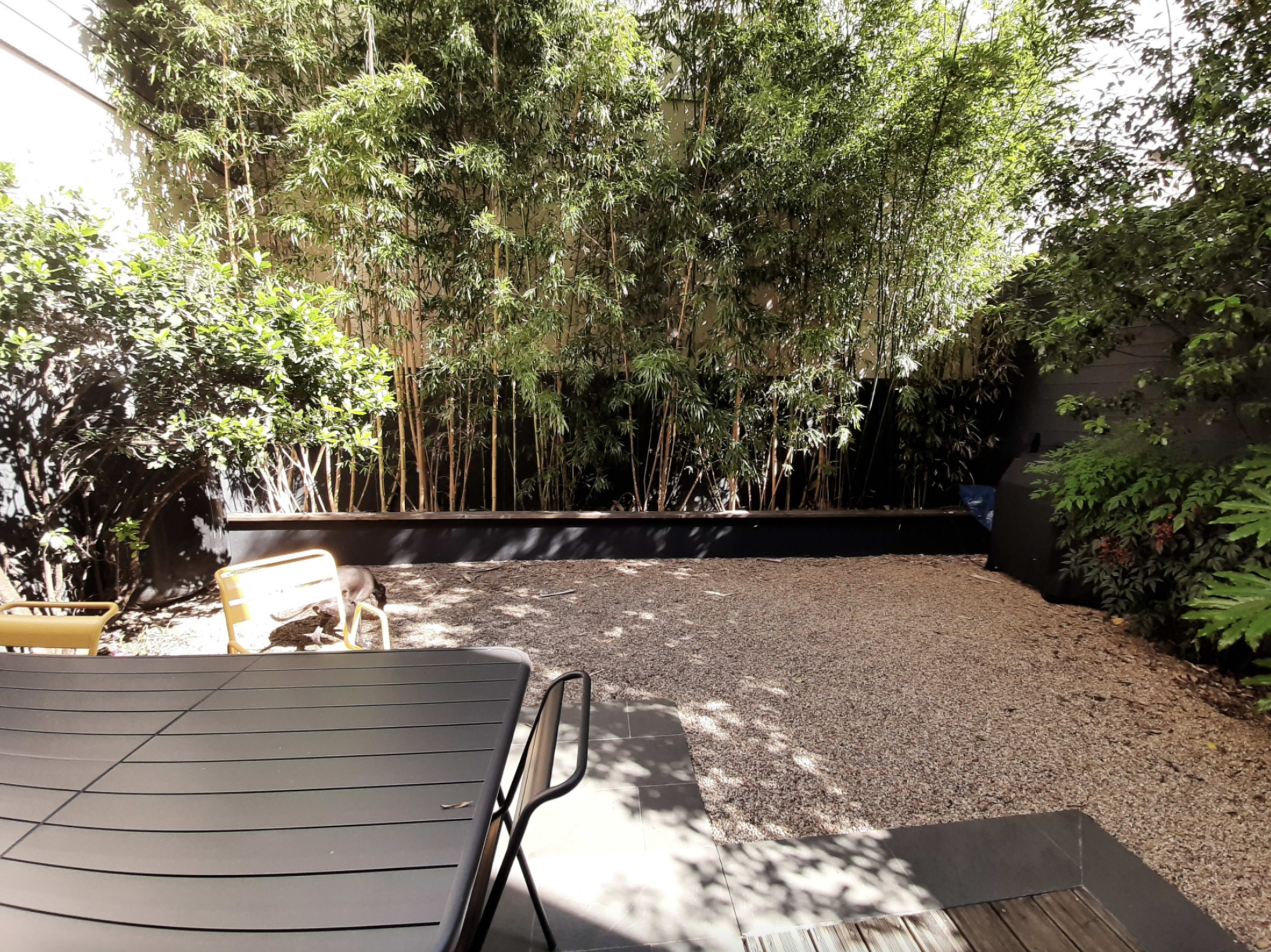 A gravel patio area is surrounded by dense bamboo and shrubbery, with a table and chair set in the foreground.