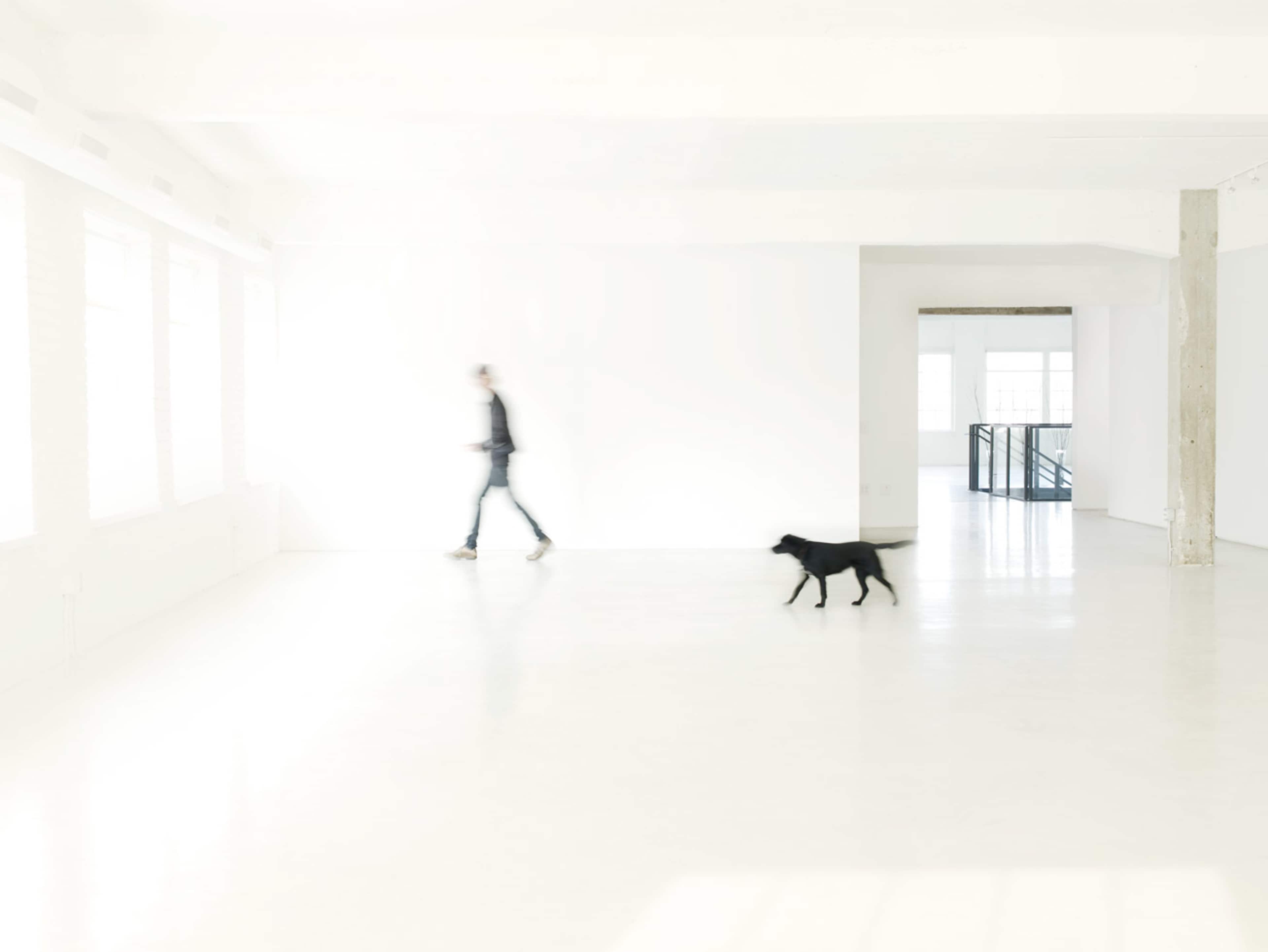 A person walks past a black dog in a bright, empty room with white walls and large windows.