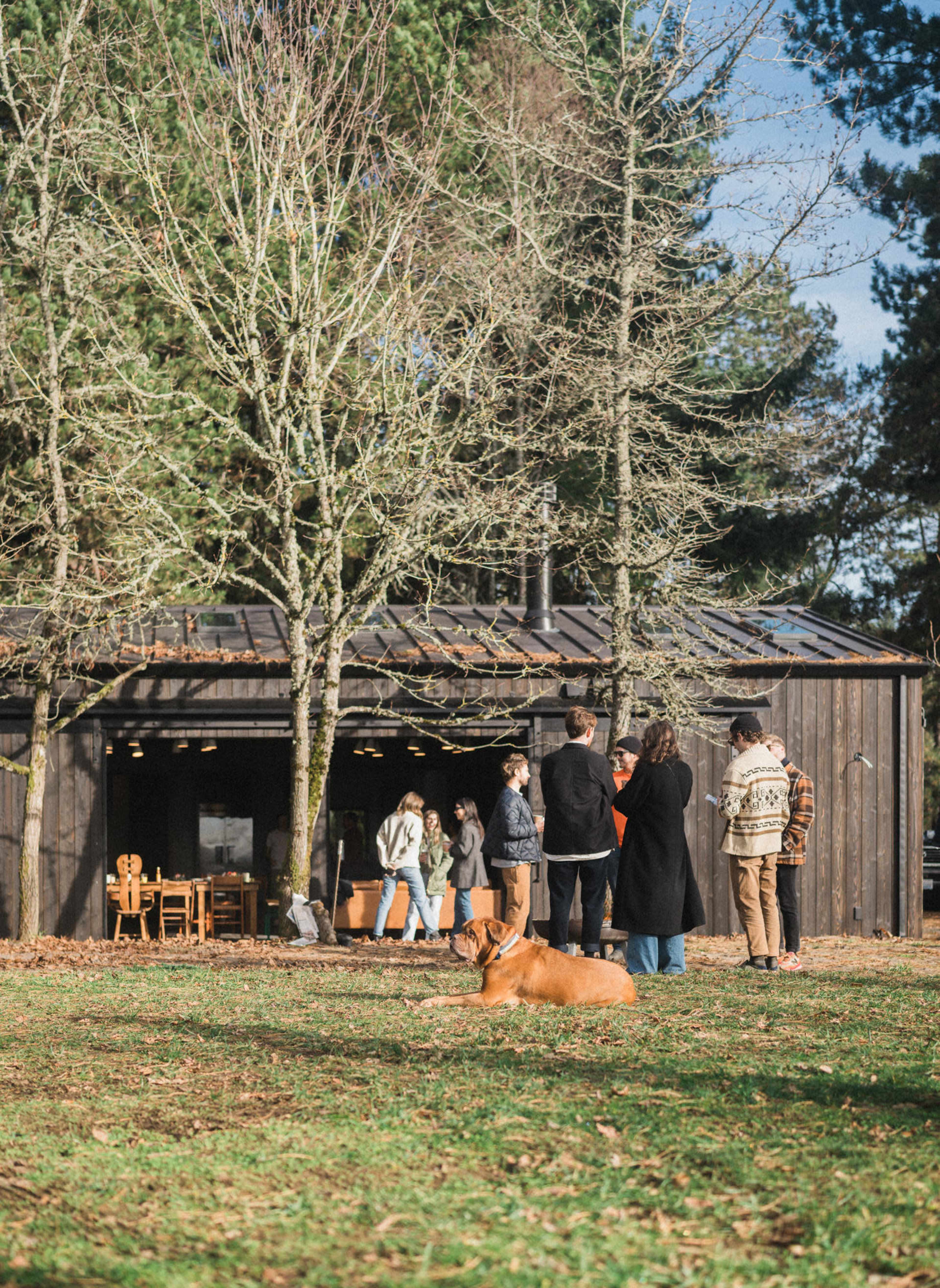 A group of people stands outside a wooden building surrounded by bare trees and grass, while a dog lies in the foreground.
