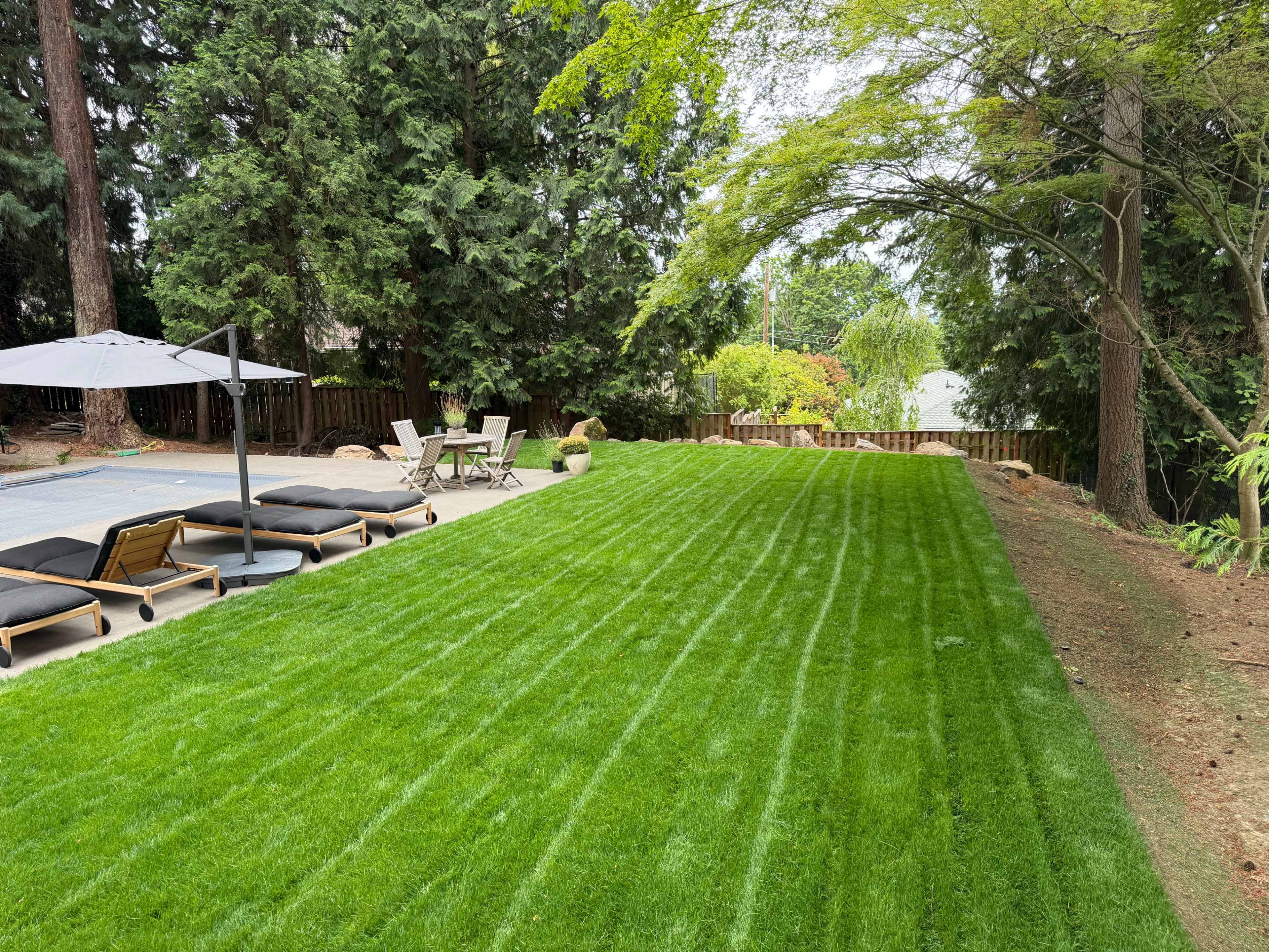 The image shows a well-maintained backyard with a freshly mowed lawn, lounge chairs, and patio furniture under a large umbrella, surrounded by trees.