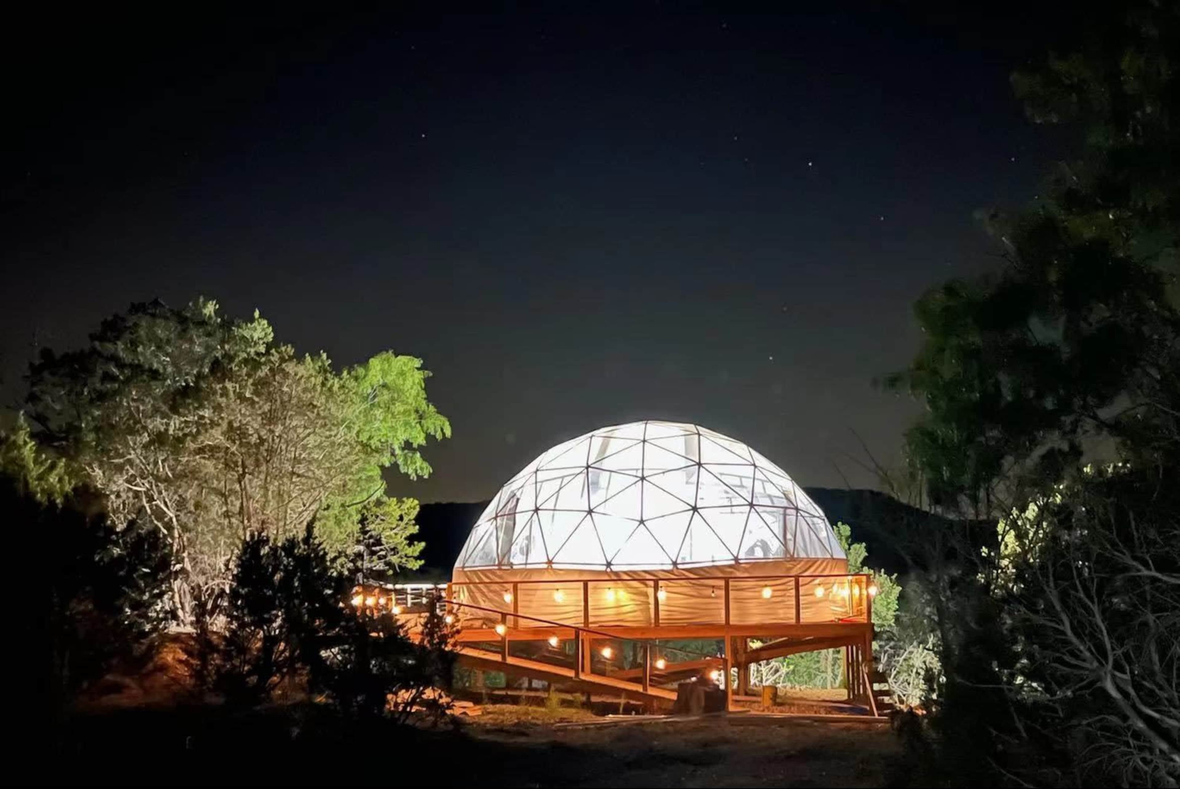 A geodesic dome structure is illuminated at night and surrounded by trees and a dark sky.