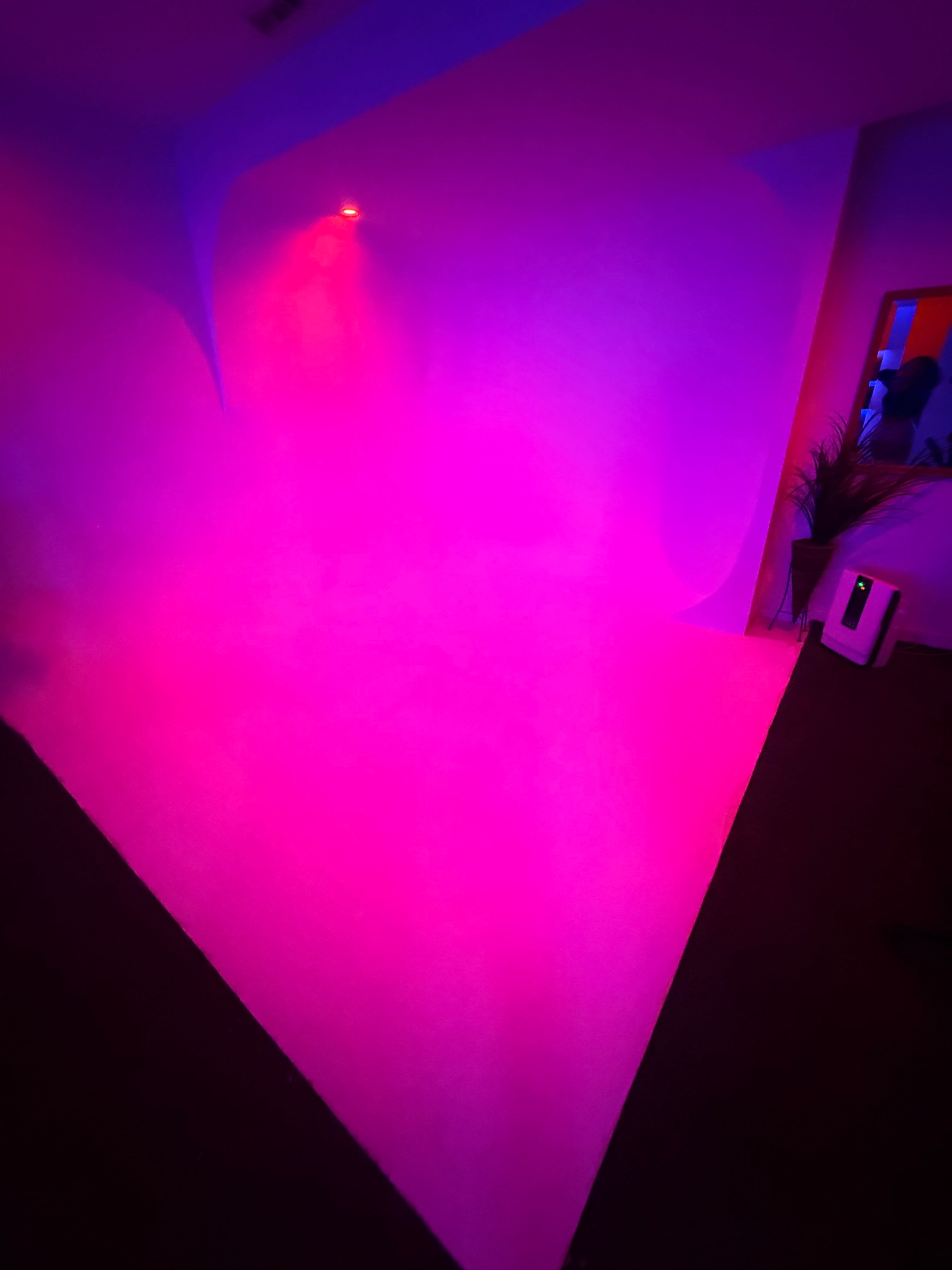 The image shows a vibrant pink and purple wall with soft lighting, alongside dark flooring and a visible electronic device in the corner.