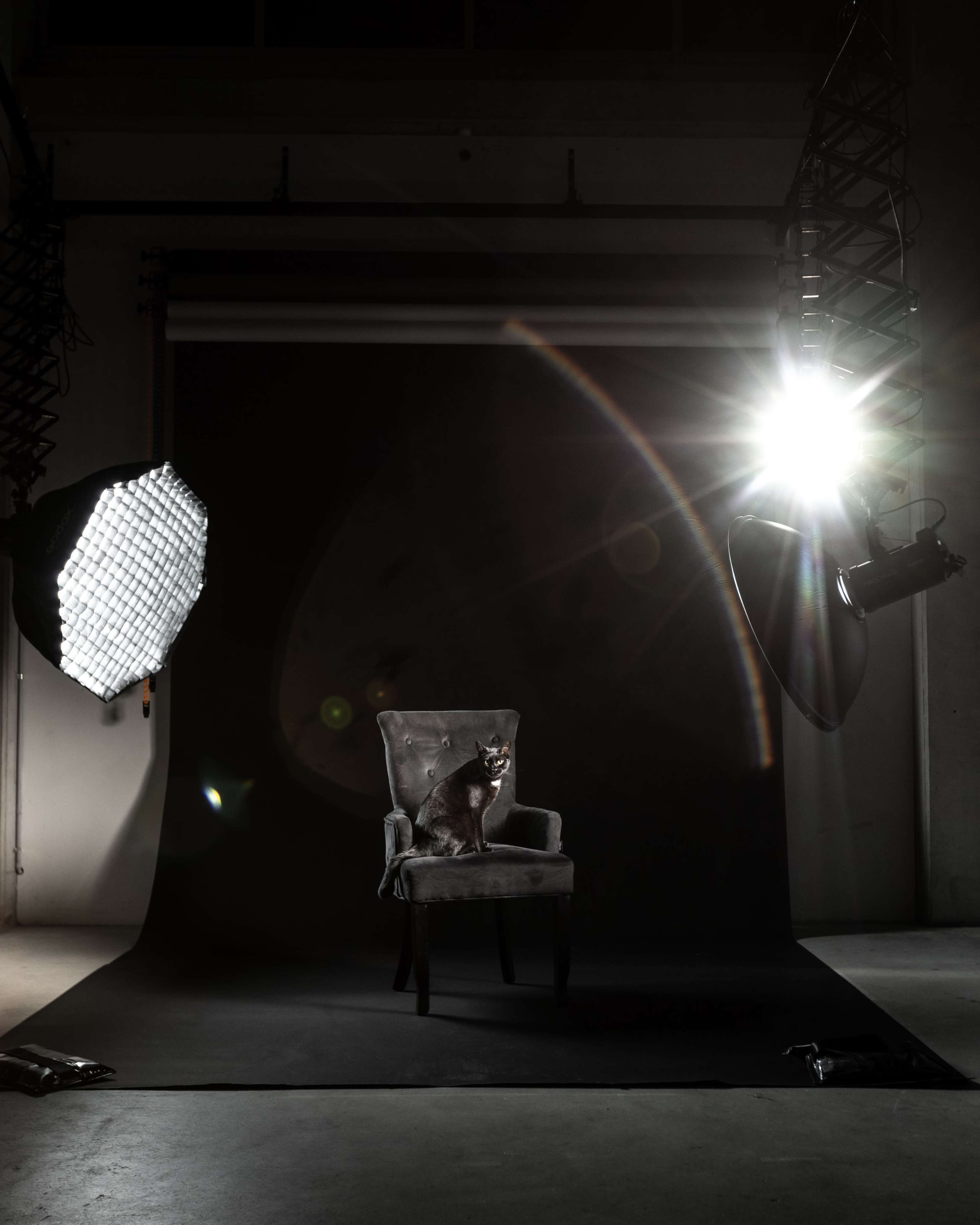 Botany photo studio - $45 evening rate Image in Botany, botany, NSW