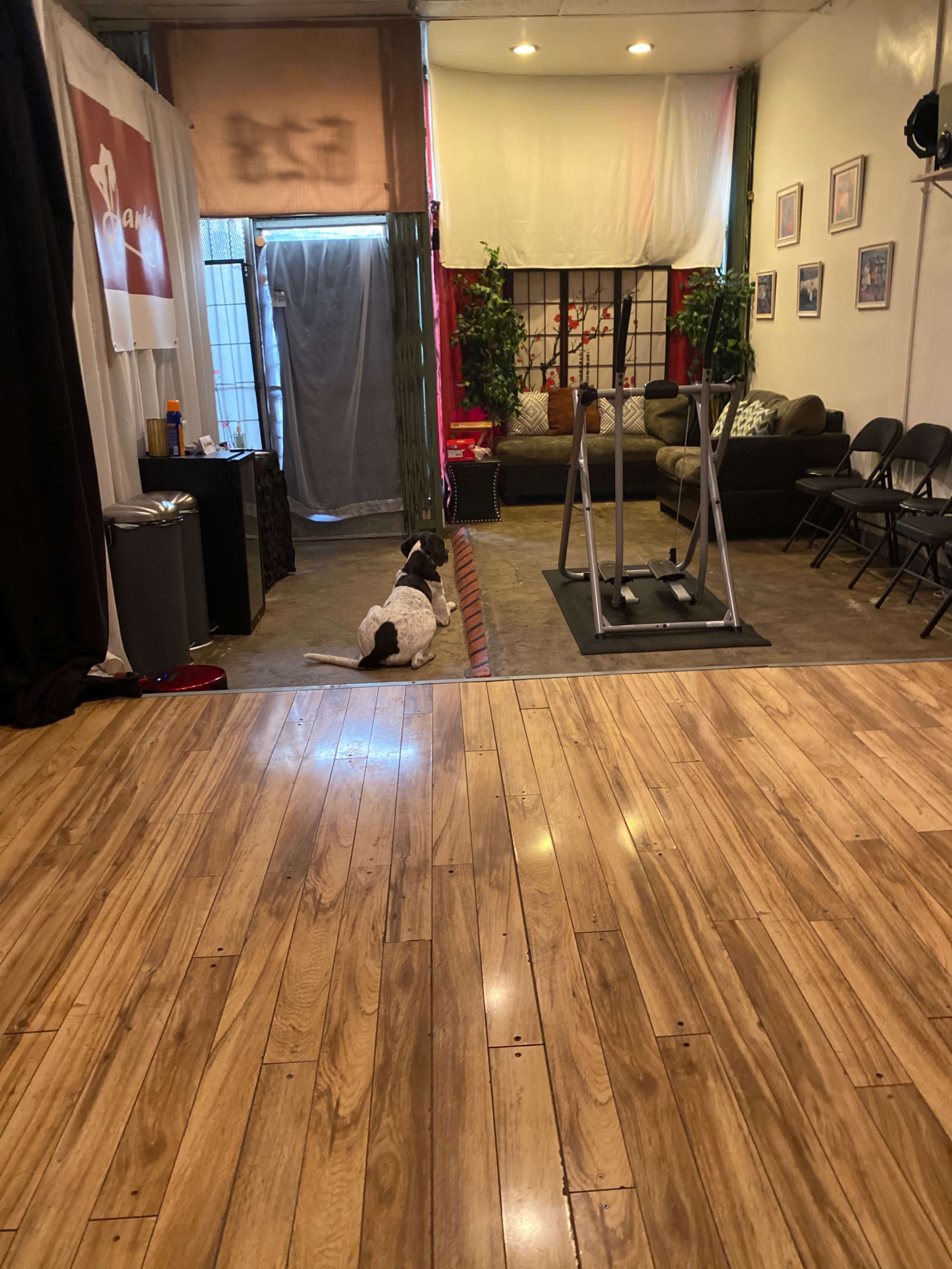 A dog lies on the floor of a spacious room featuring wooden flooring, a sitting area with a couch, and exercise equipment.