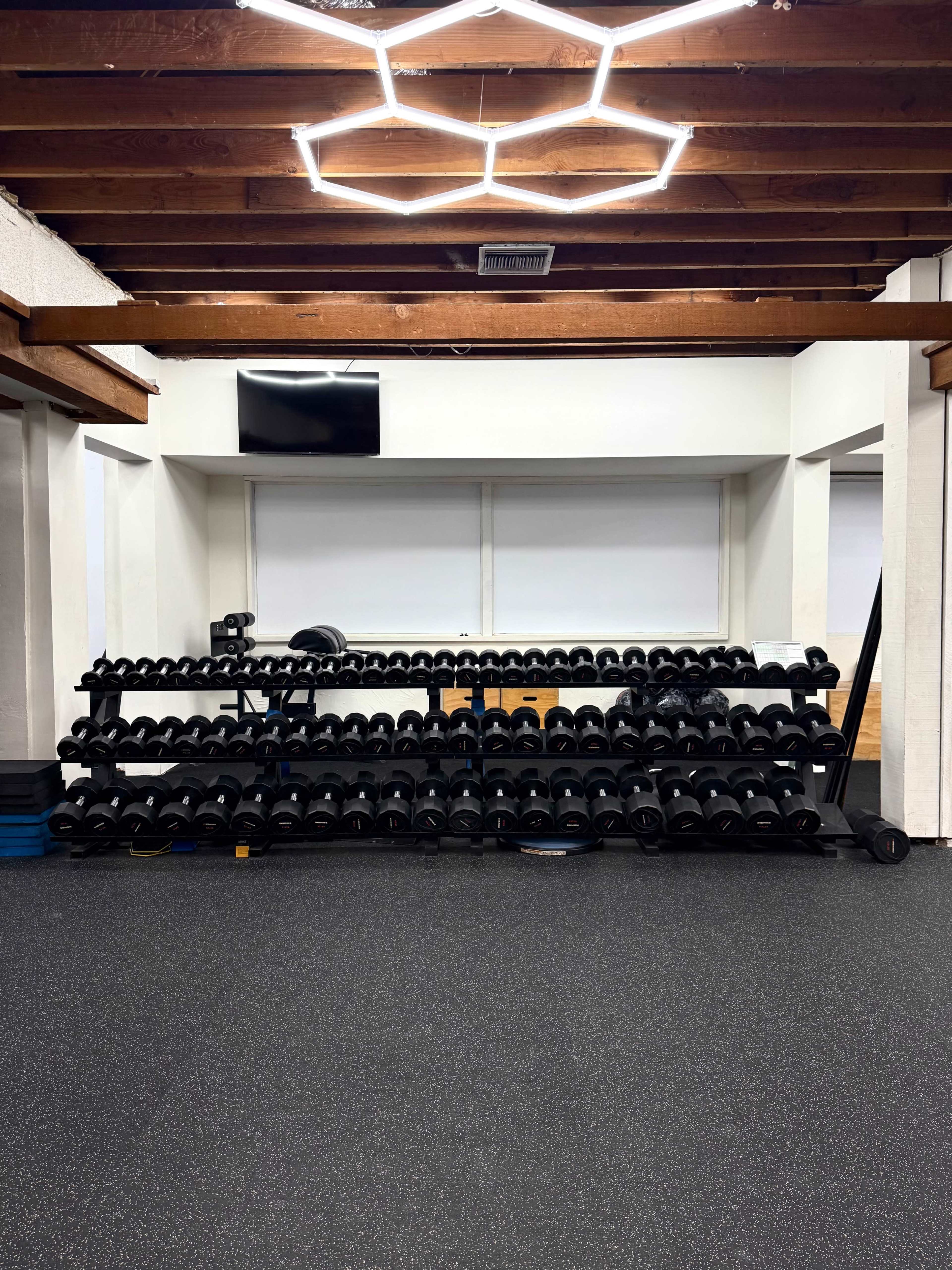 The image shows a gym area featuring a rack of black dumbbells, a wall-mounted television, and a modern ceiling light fixture.