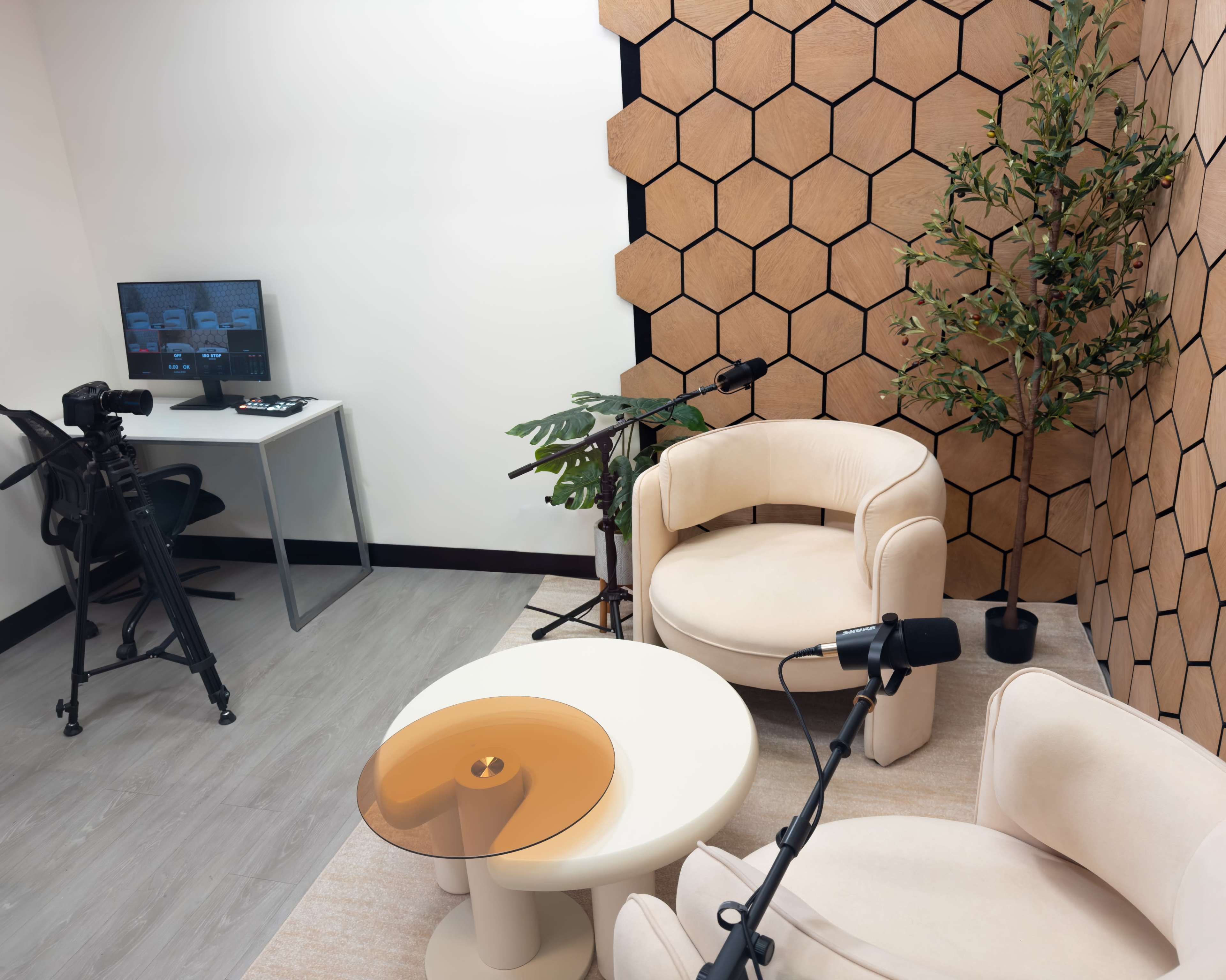 The image shows a small recording studio featuring two beige chairs, a small round table, a potted plant, and a computer station with a camera and microphone setup against a hexagonal-patterned wall.