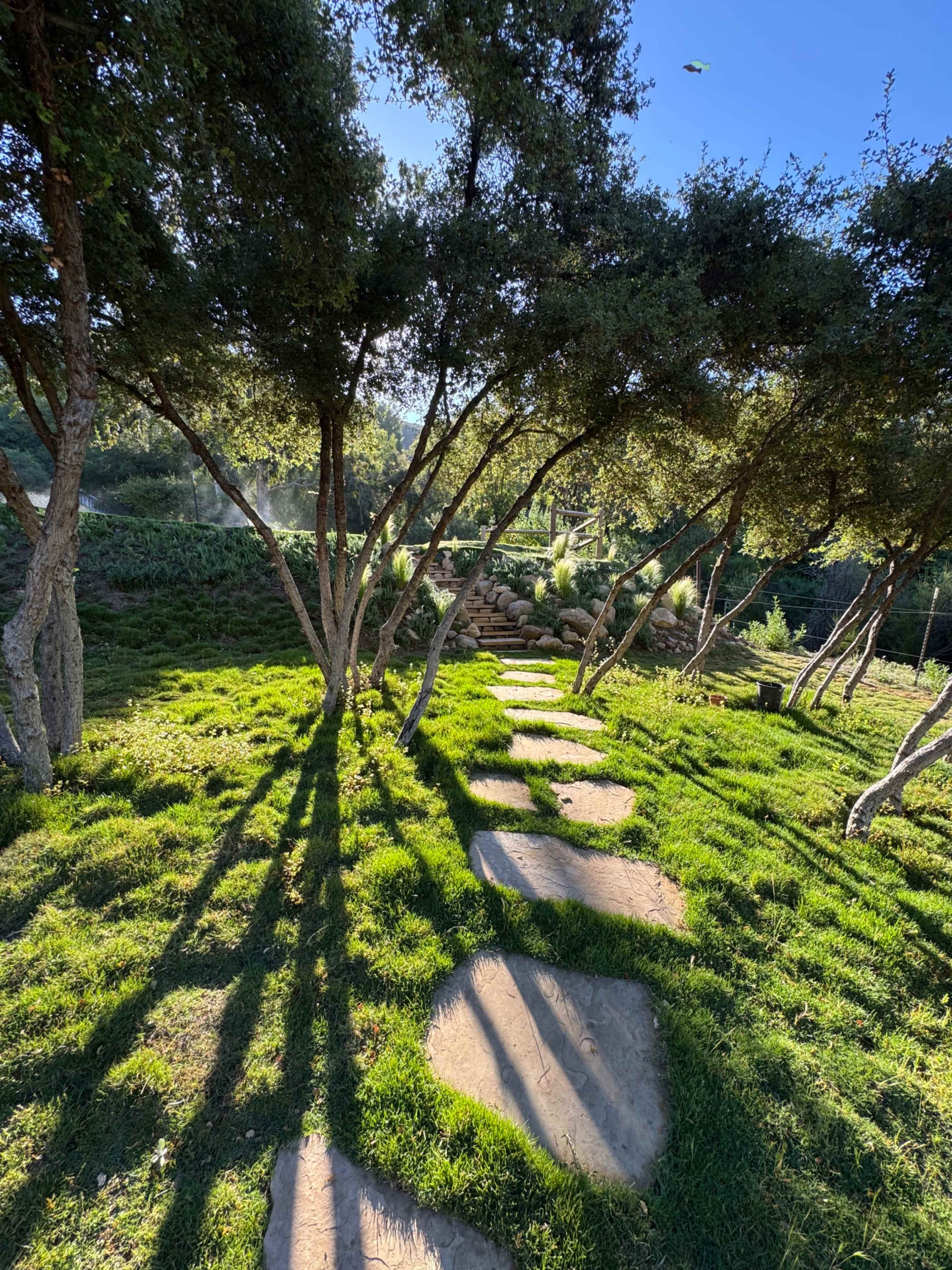A stone pathway winds through a lush green garden under a canopy of trees.