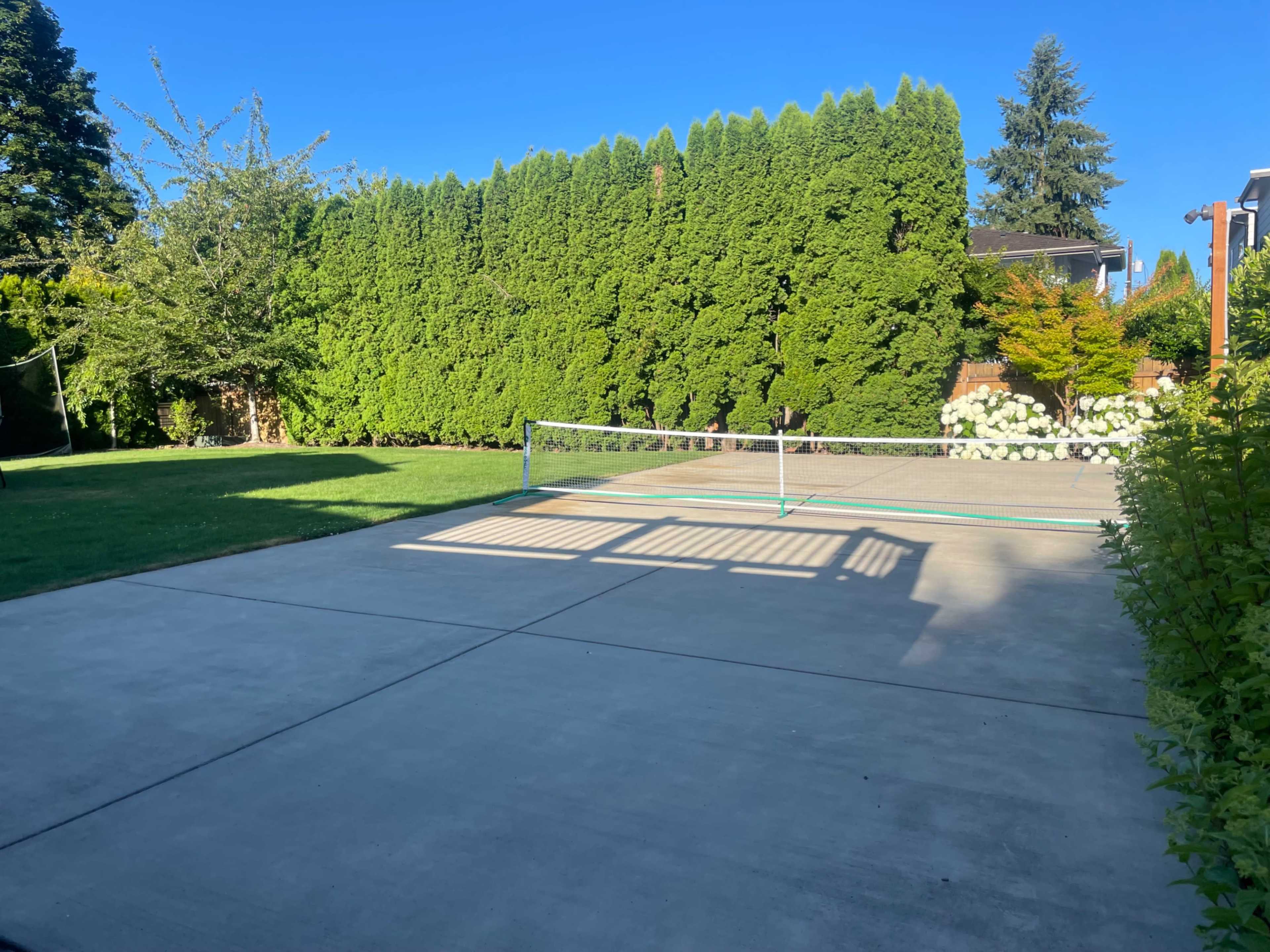 A concrete area with a tennis net stands in an open space surrounded by tall green hedges and a few trees.