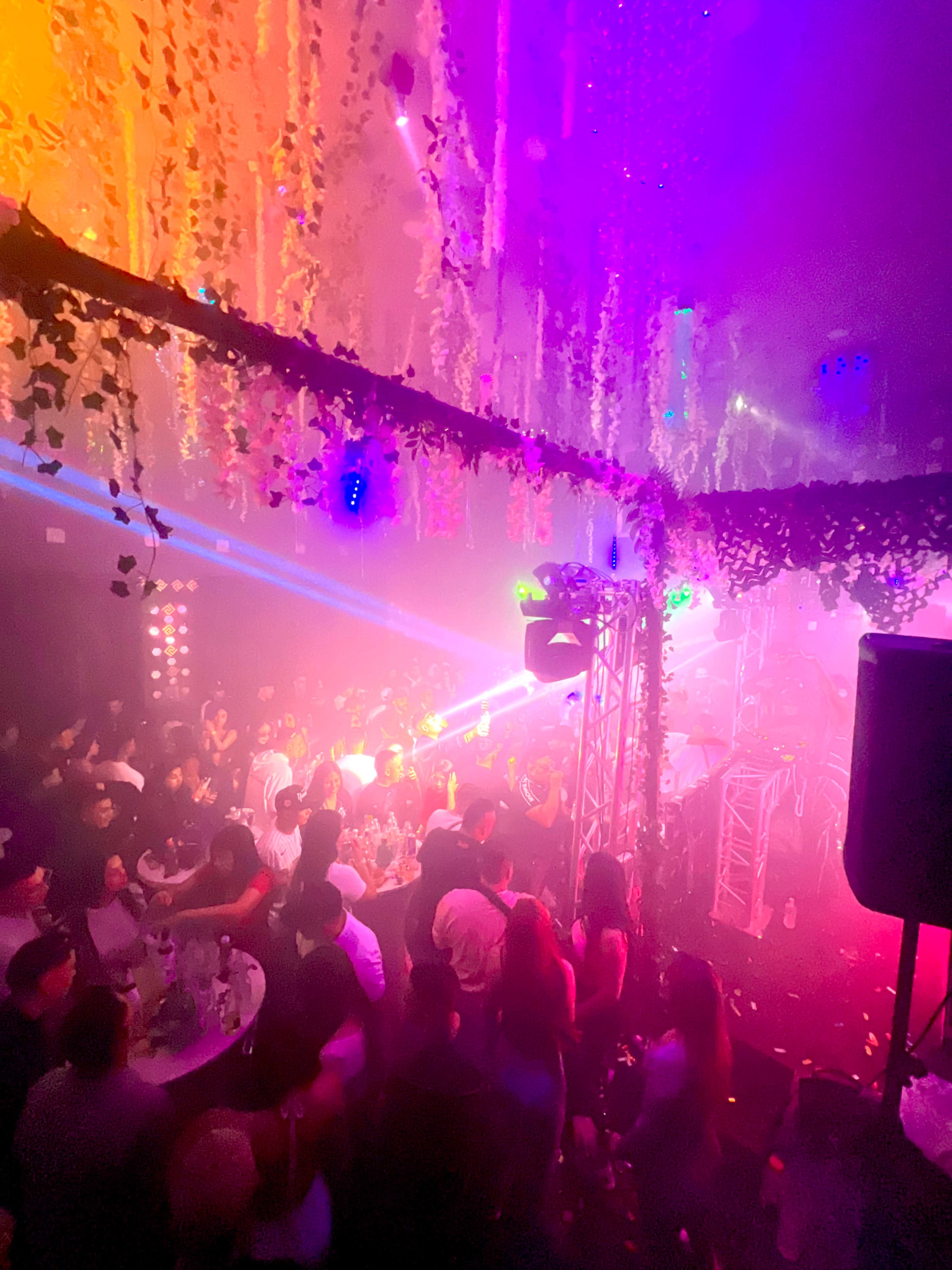 BROOKLYN BURJ -  JUNGLE THEME ,DREAMY EVENT AND PERFORMANCE VENUE Image in Crown Heights, Brooklyn, NY
