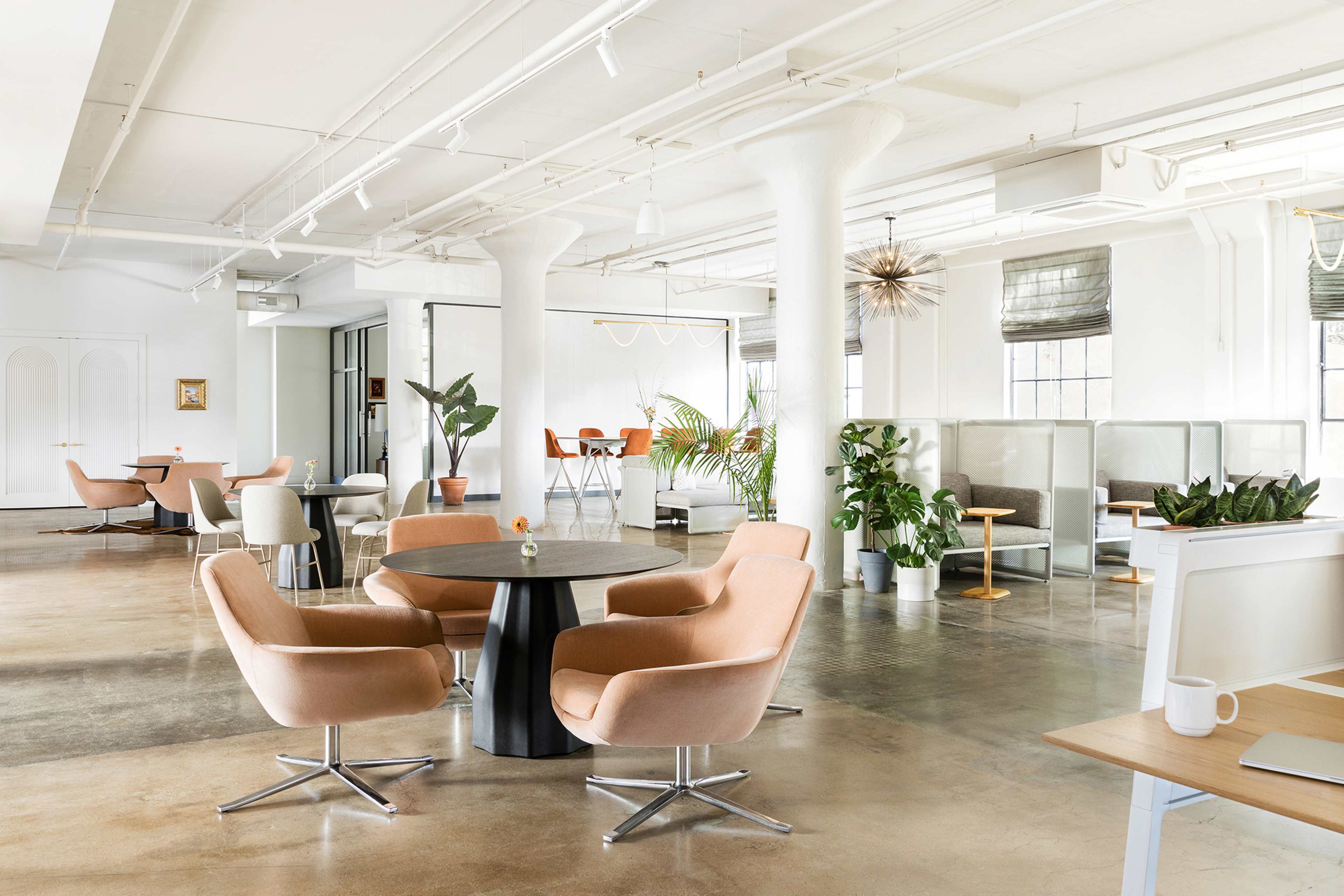 A modern office space featuring a variety of seating areas, plants, and large windows.